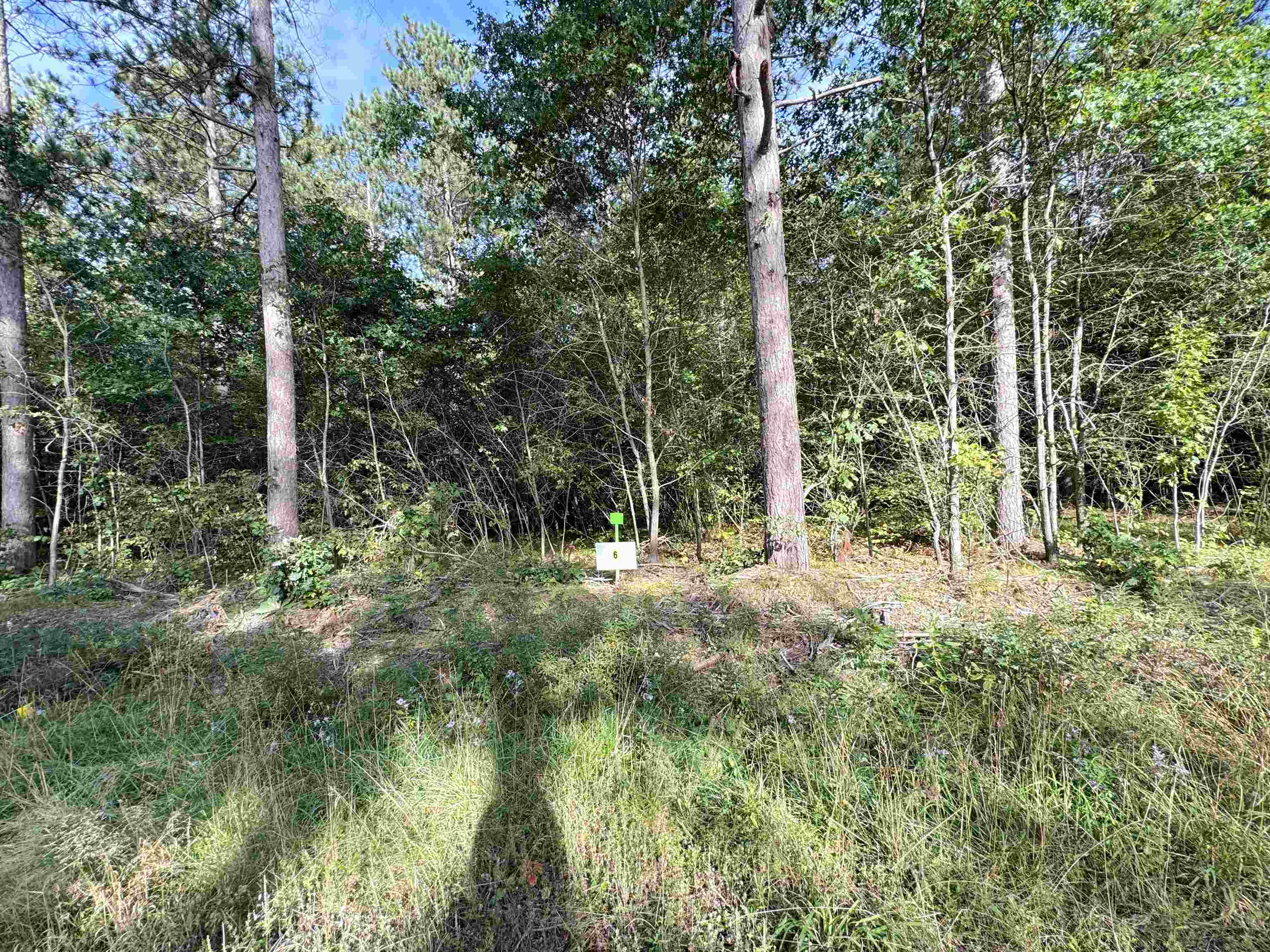 Lot 6 Scout Road Property Photo 3