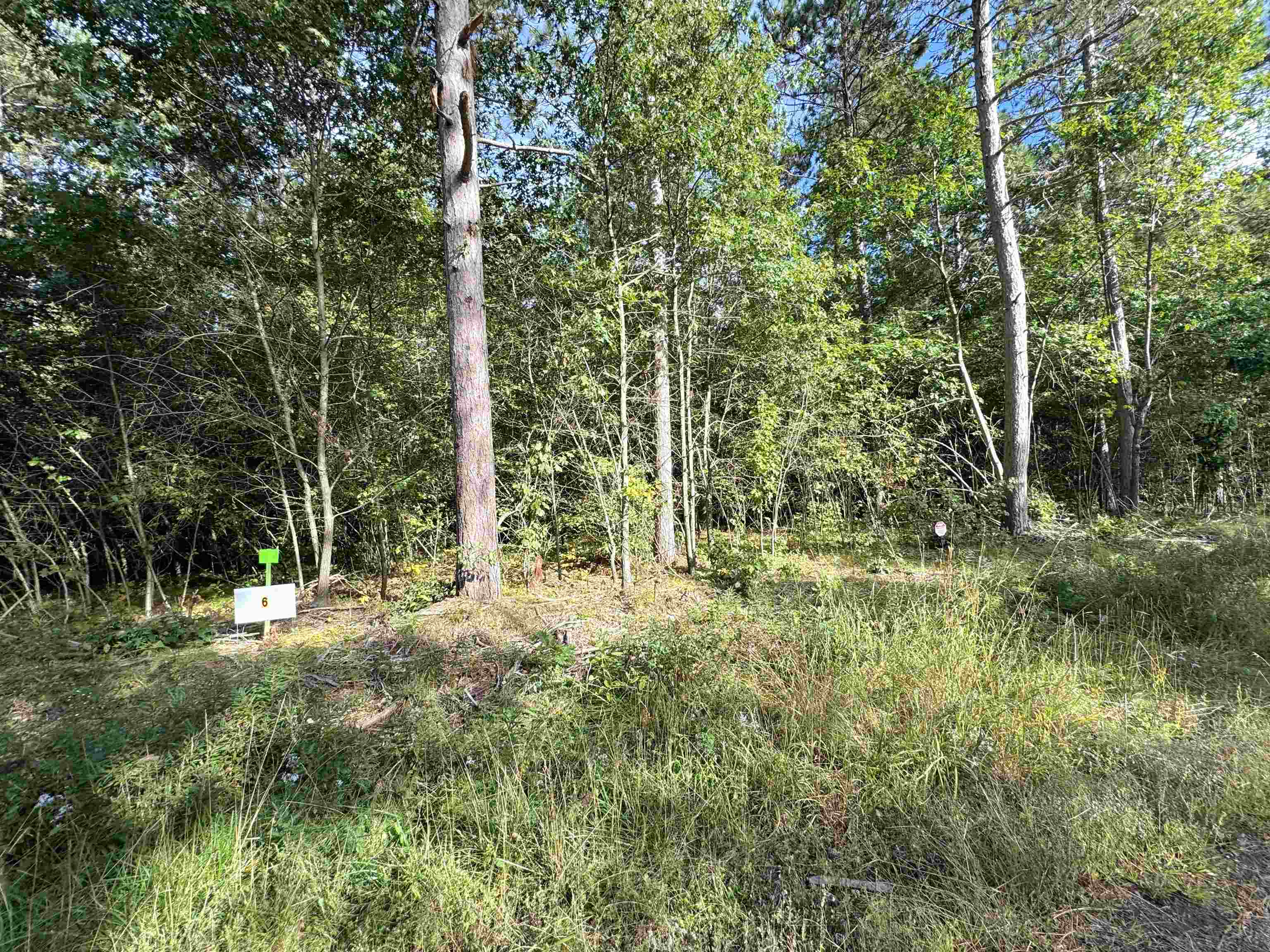 Lot 6 Scout Road Property Photo 4
