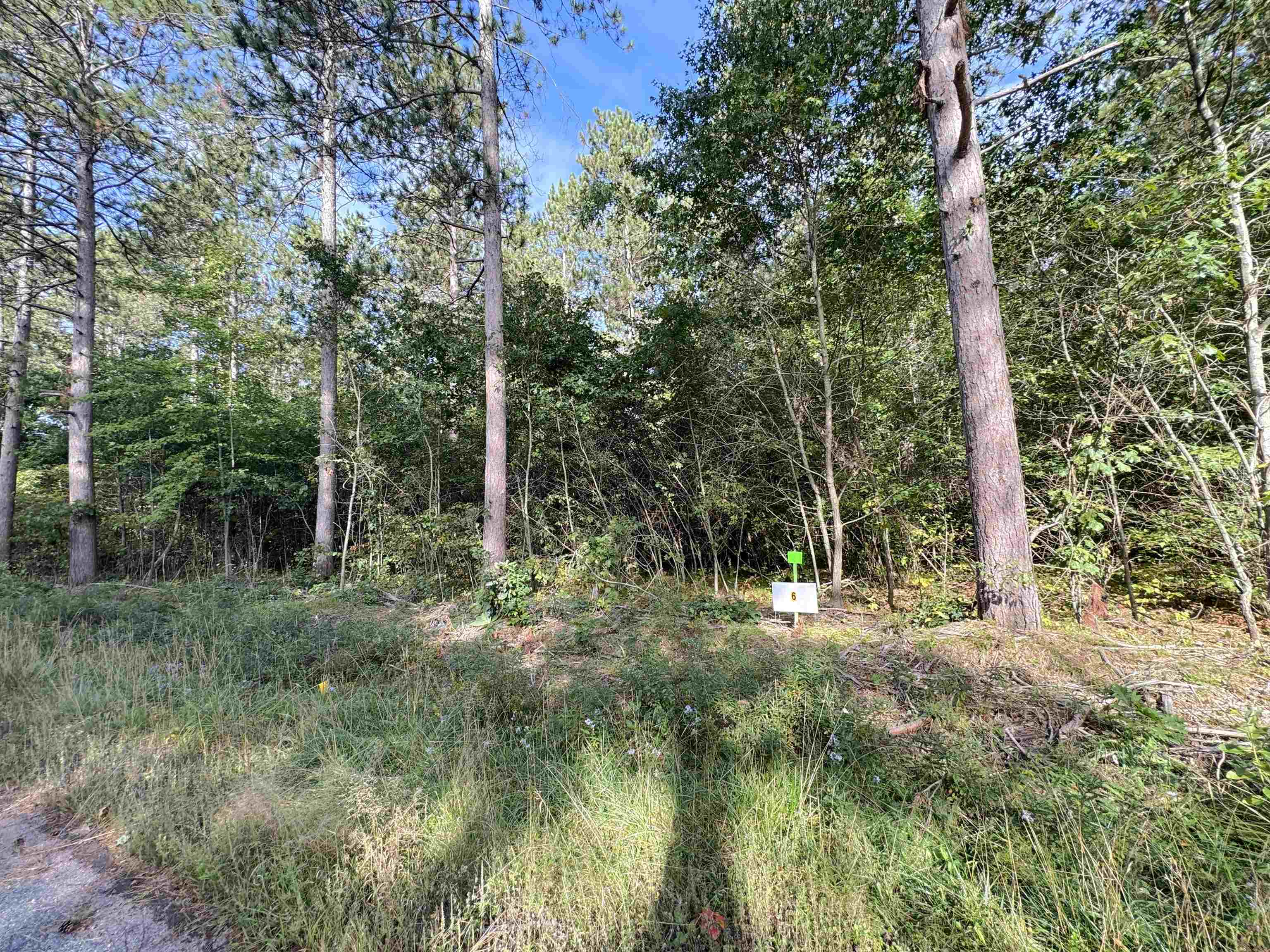 Lot 6 Scout Road Property Photo 5