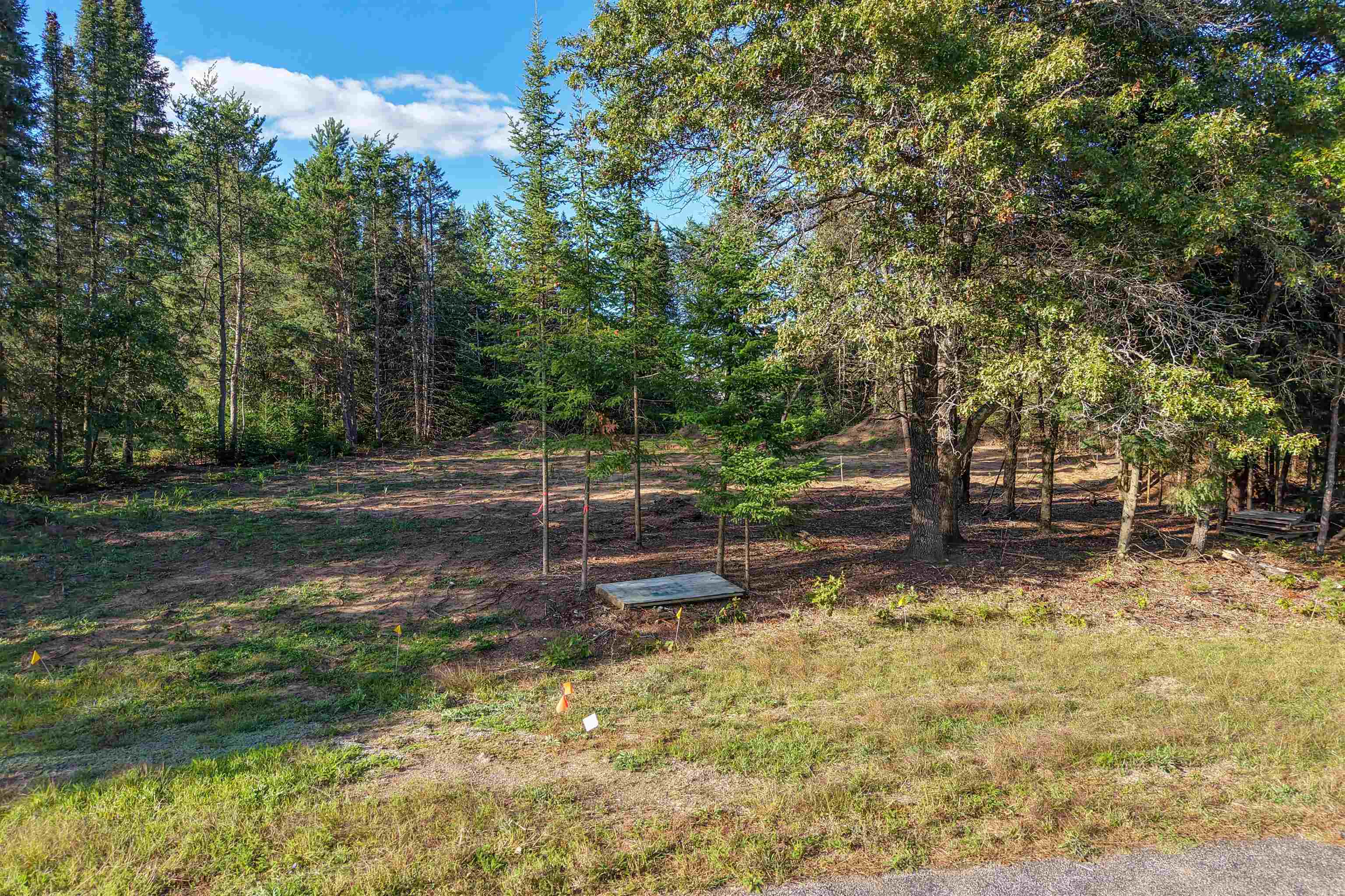 Parcel # 070369 Dewberry Lane Property Photo 11