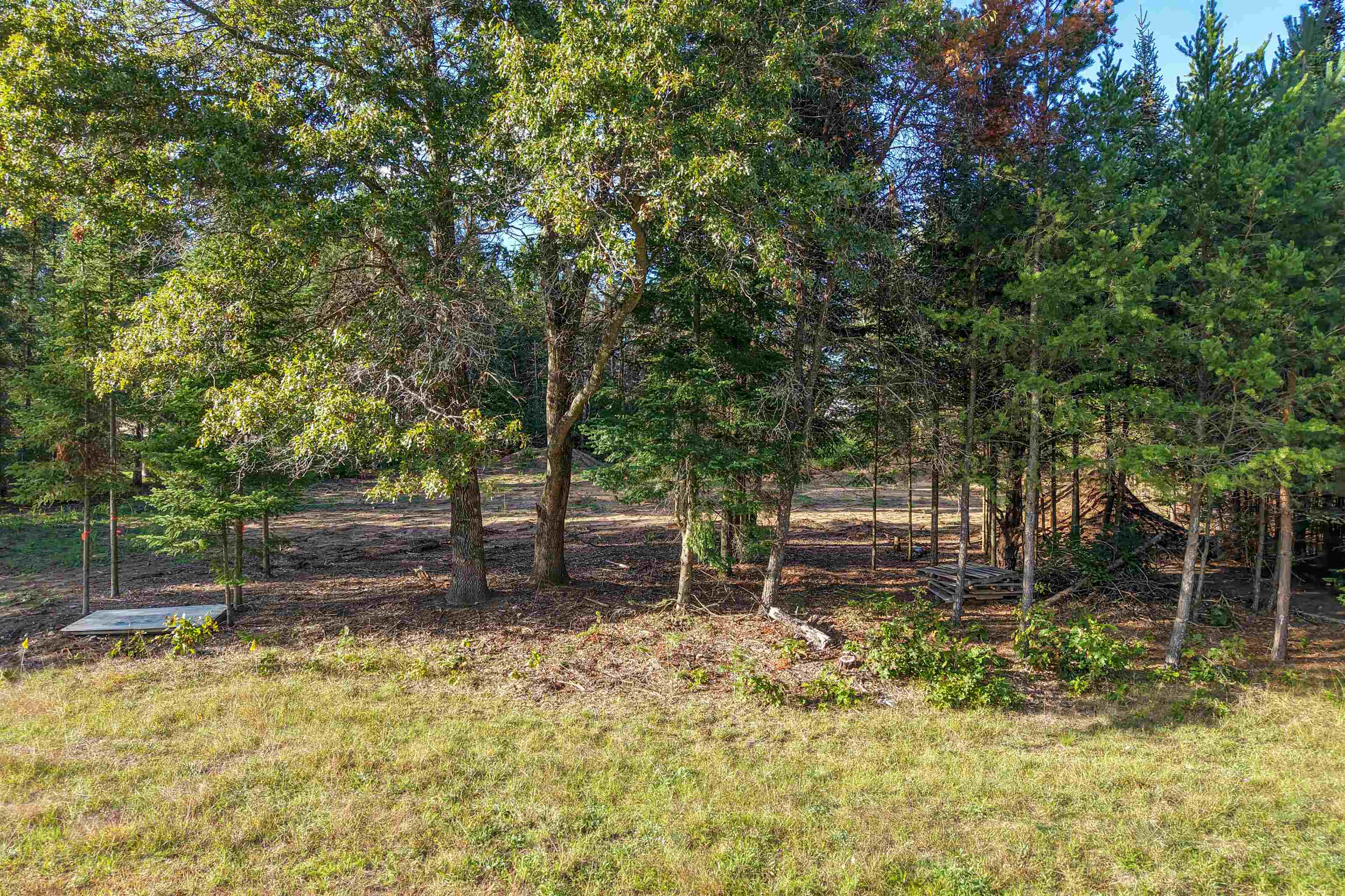 Parcel # 070369 Dewberry Lane Property Photo 12