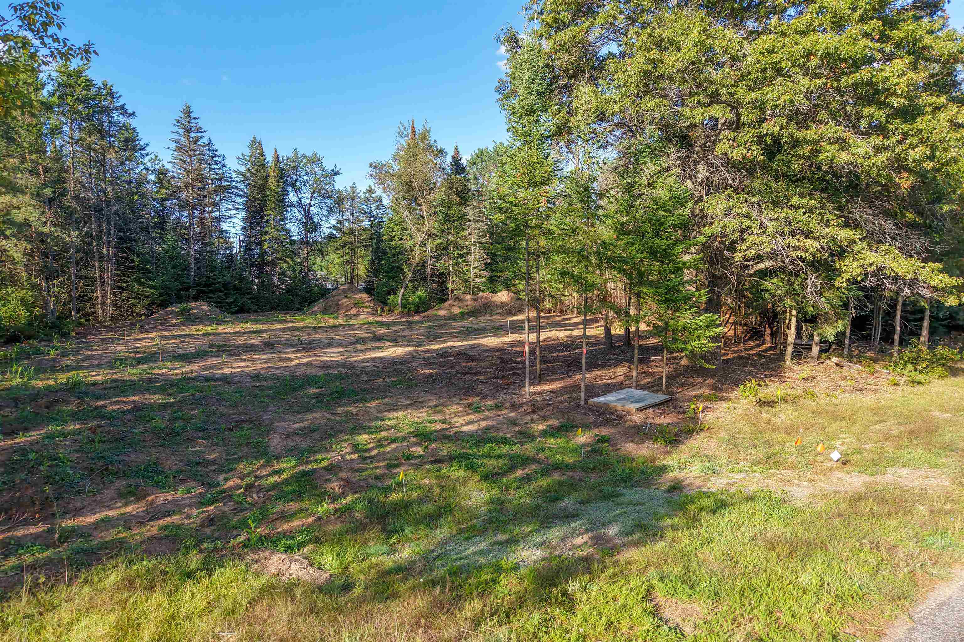 Parcel # 070369 Dewberry Lane Property Photo 13