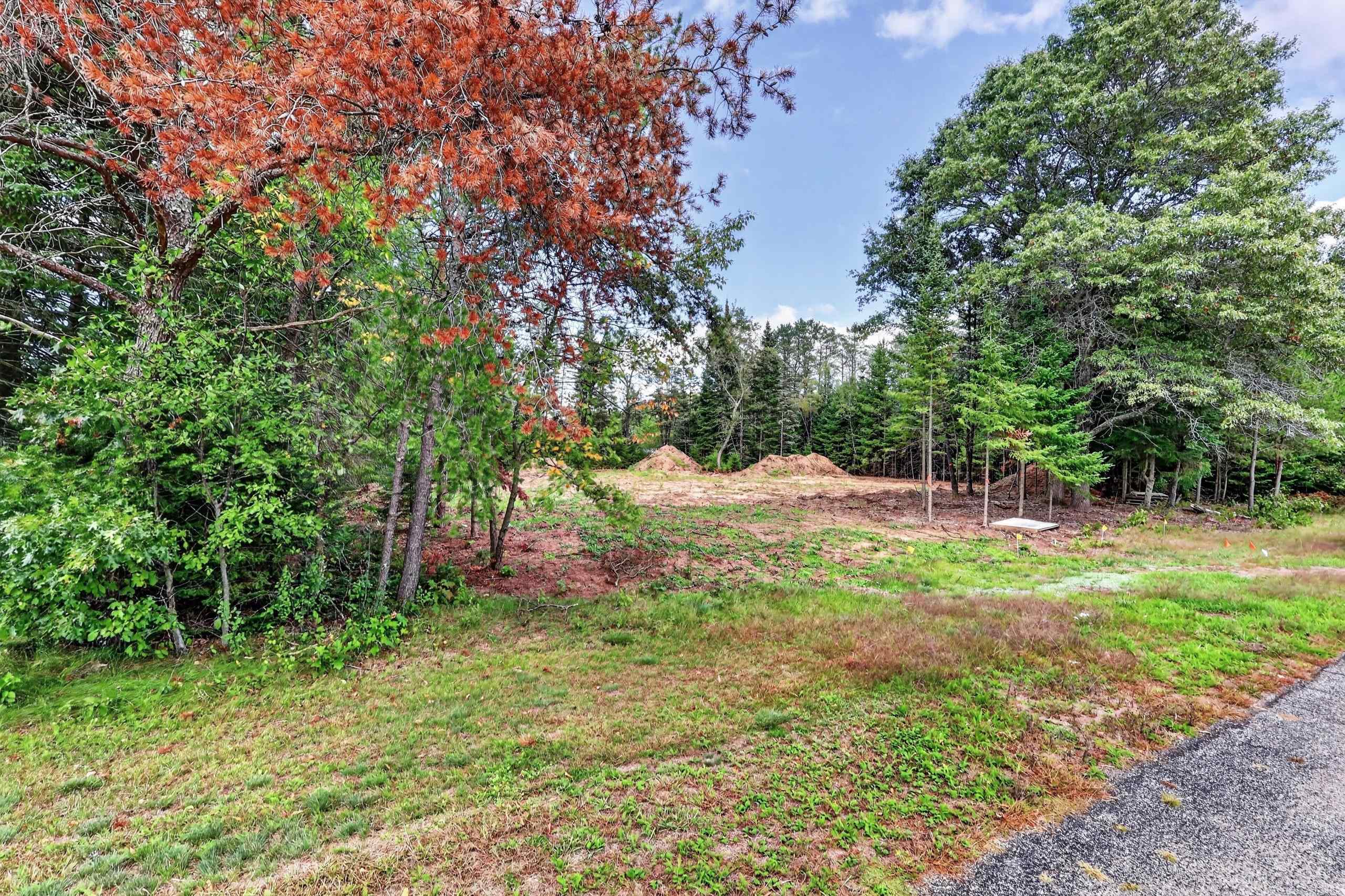 Parcel # 070369 Dewberry Lane Property Photo 18