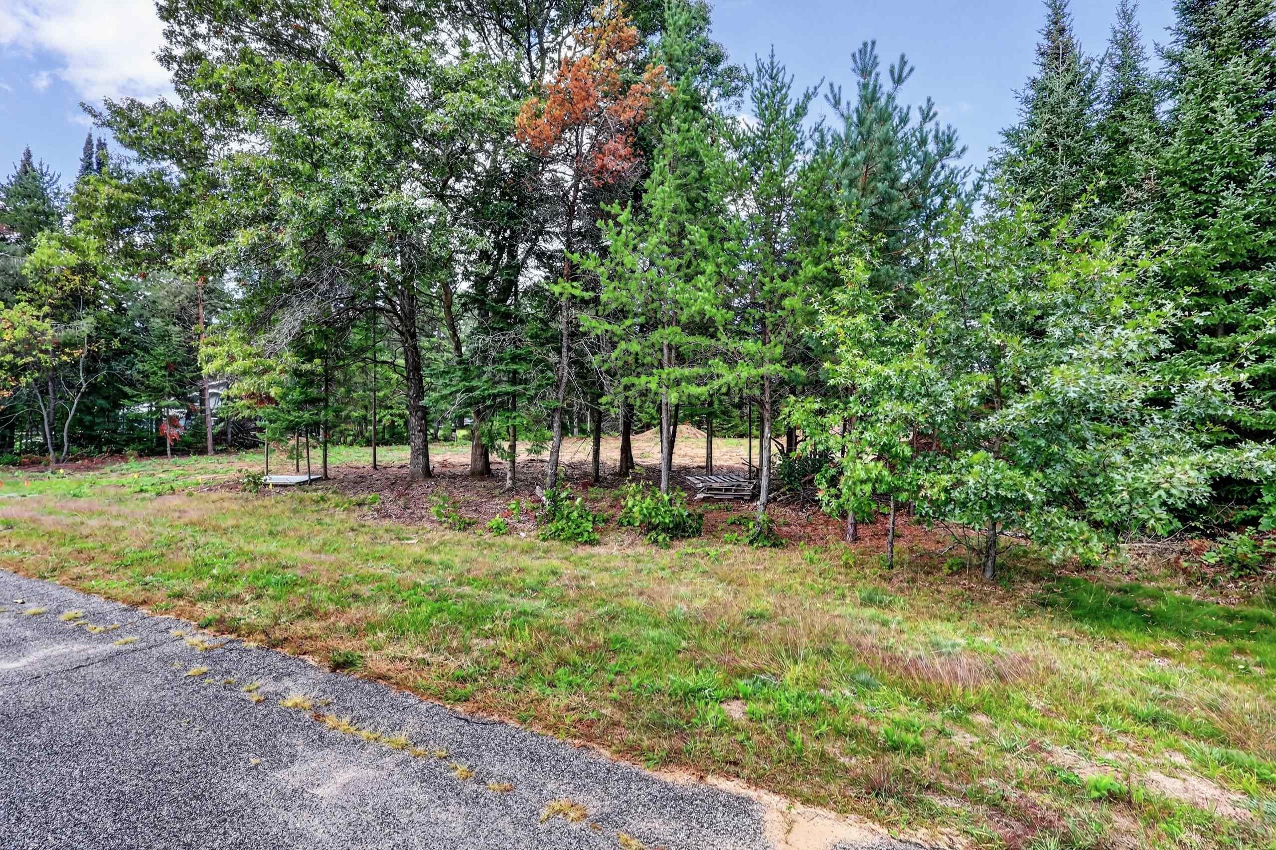 Parcel # 070369 Dewberry Lane Property Photo 23