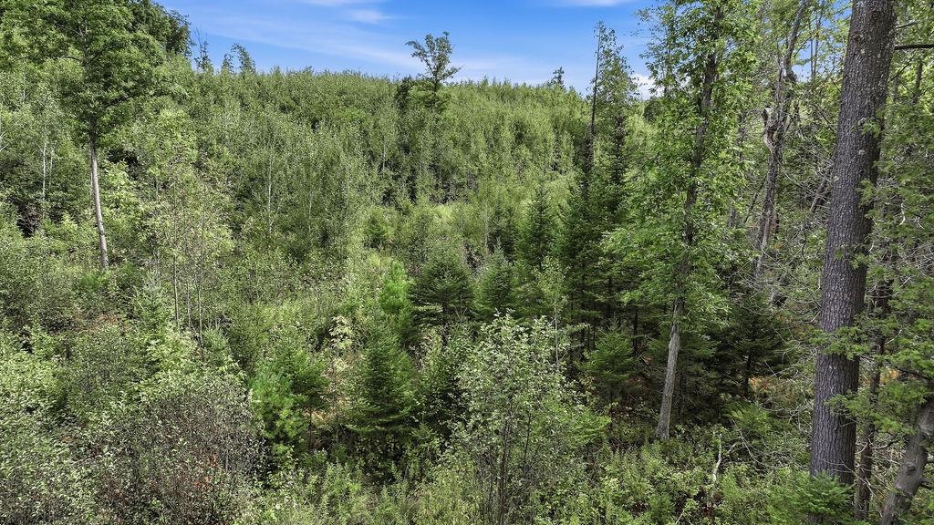 00 Behnke Road Property Photo 10