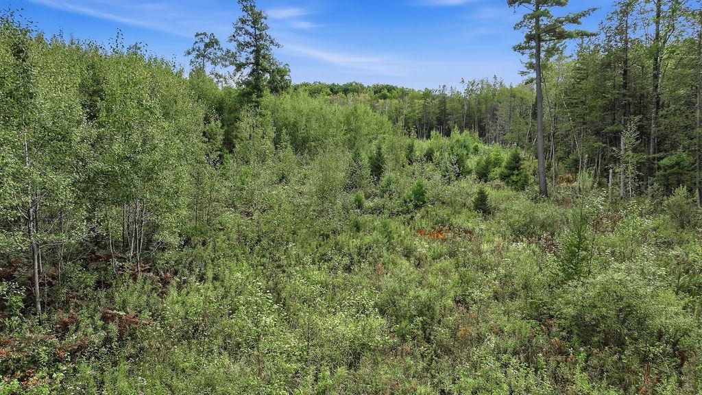 00 Behnke Road Property Photo 11