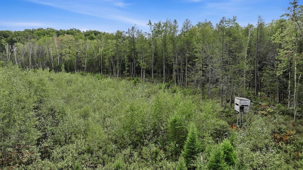00 Behnke Road Property Photo 12