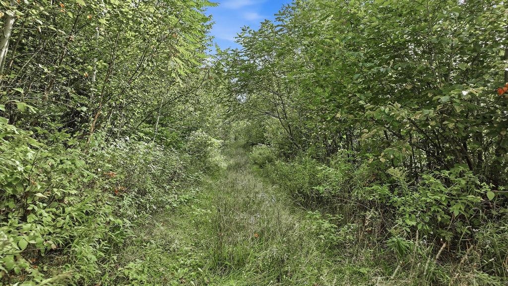 00 Behnke Road Property Photo 21