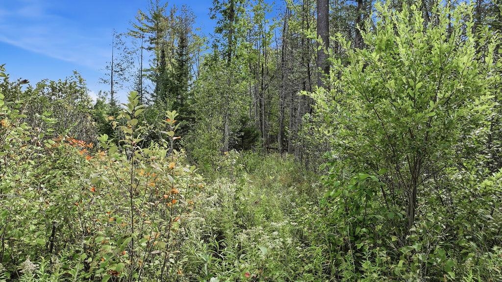 00 Behnke Road Property Photo 22