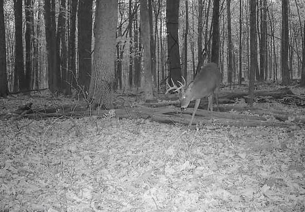 00 Behnke Road Property Photo 24