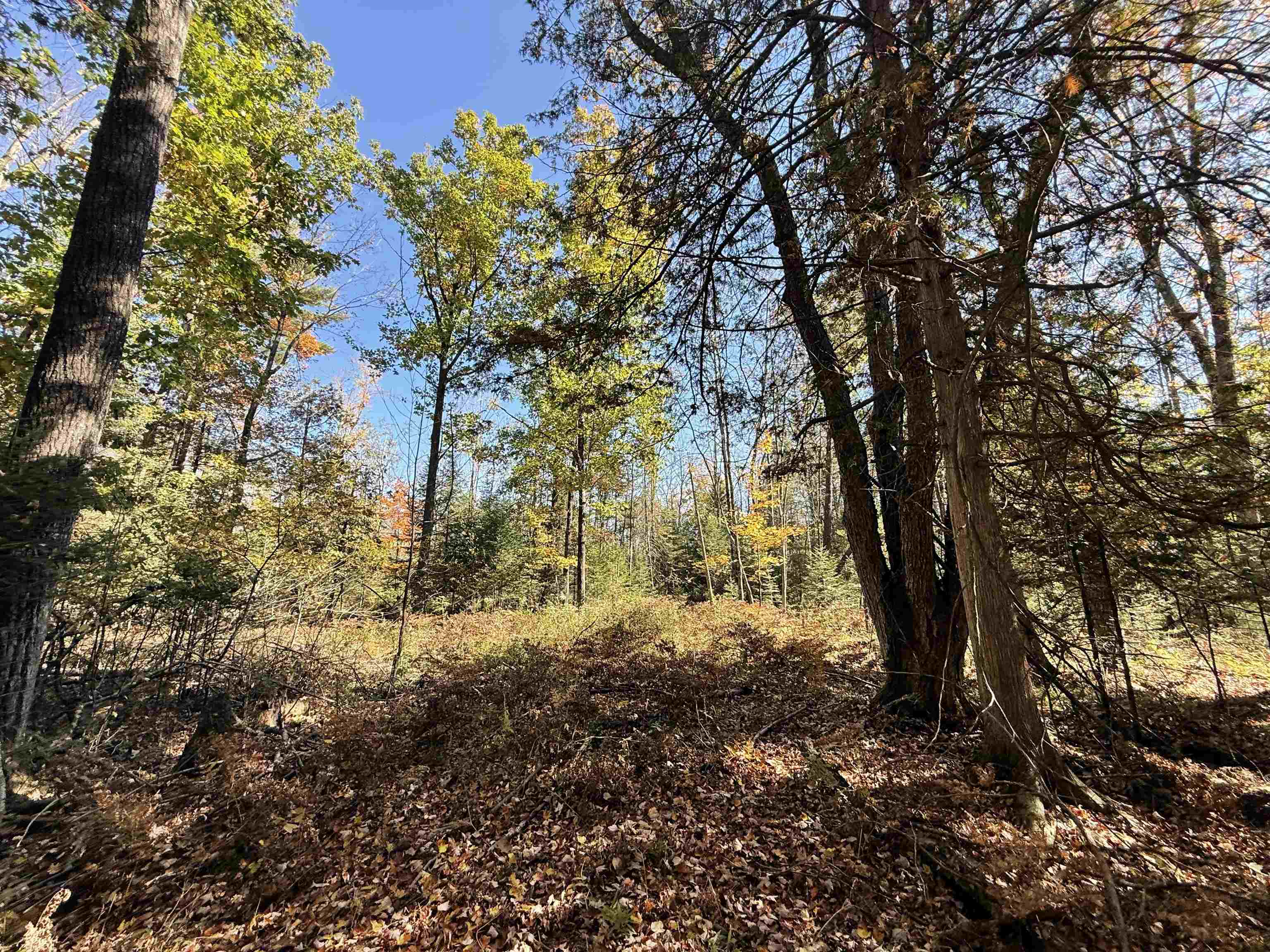 00 Behnke Road Property Photo 26