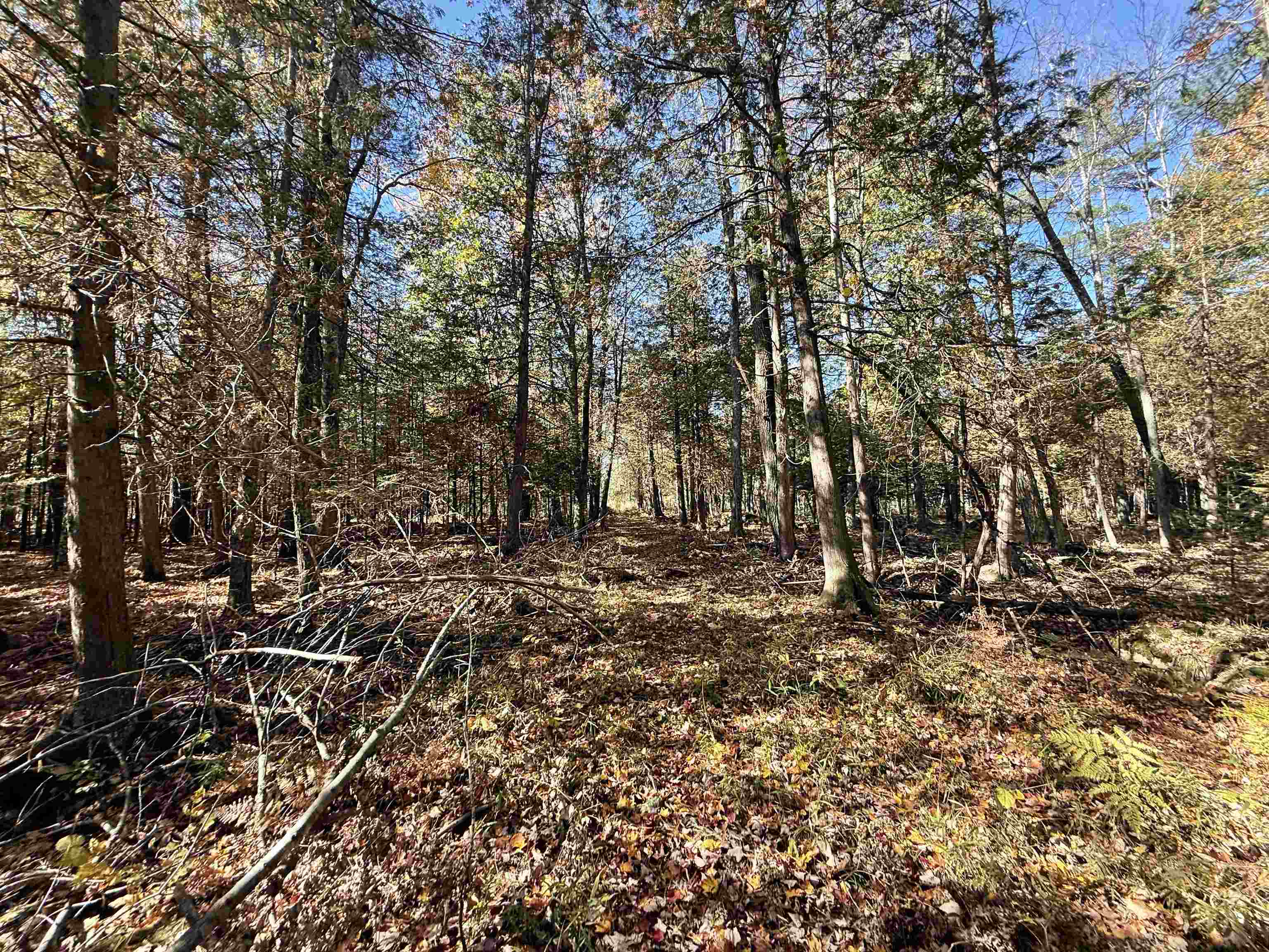 00 Behnke Road Property Photo 27