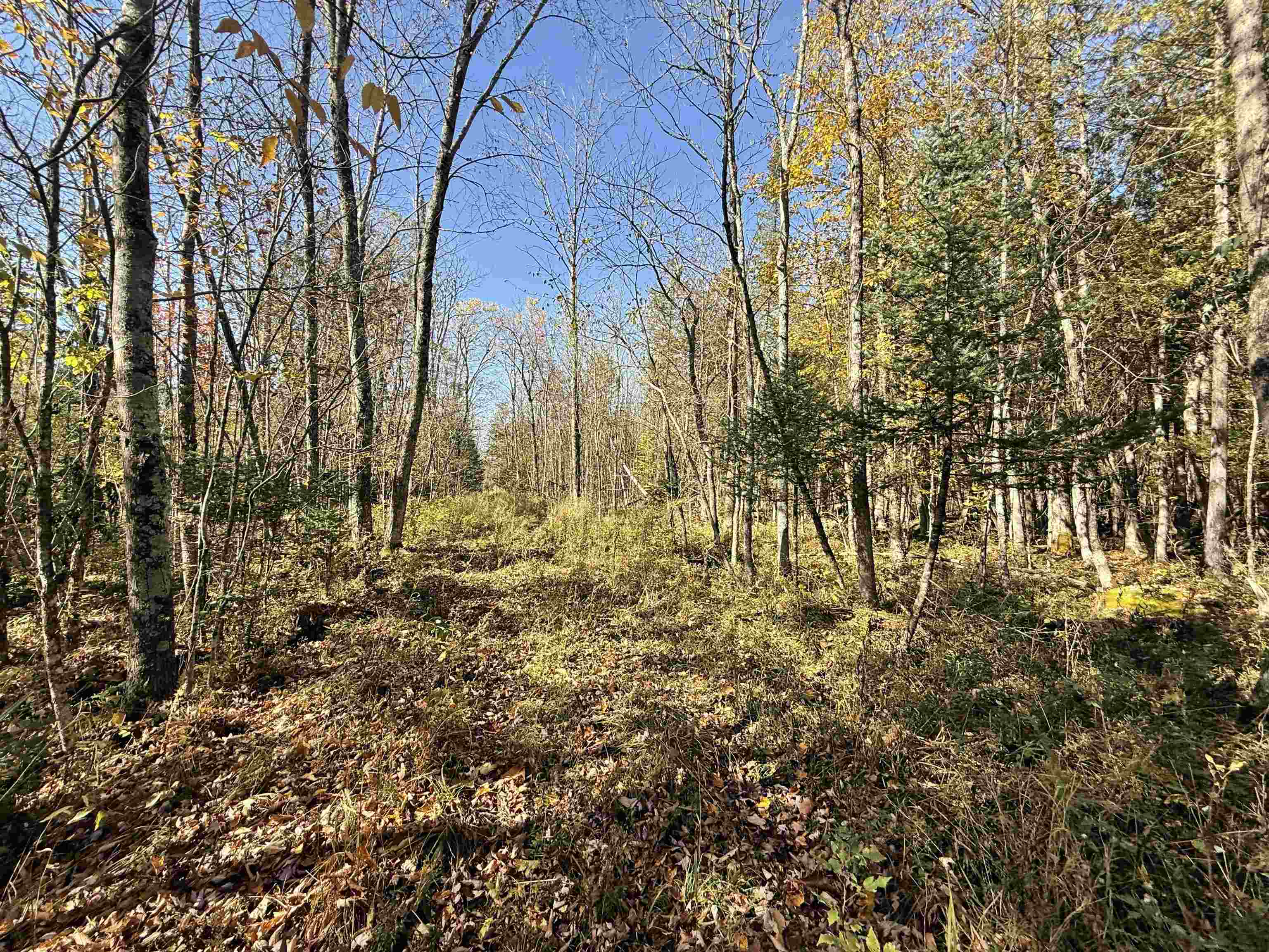 00 Behnke Road Property Photo 28