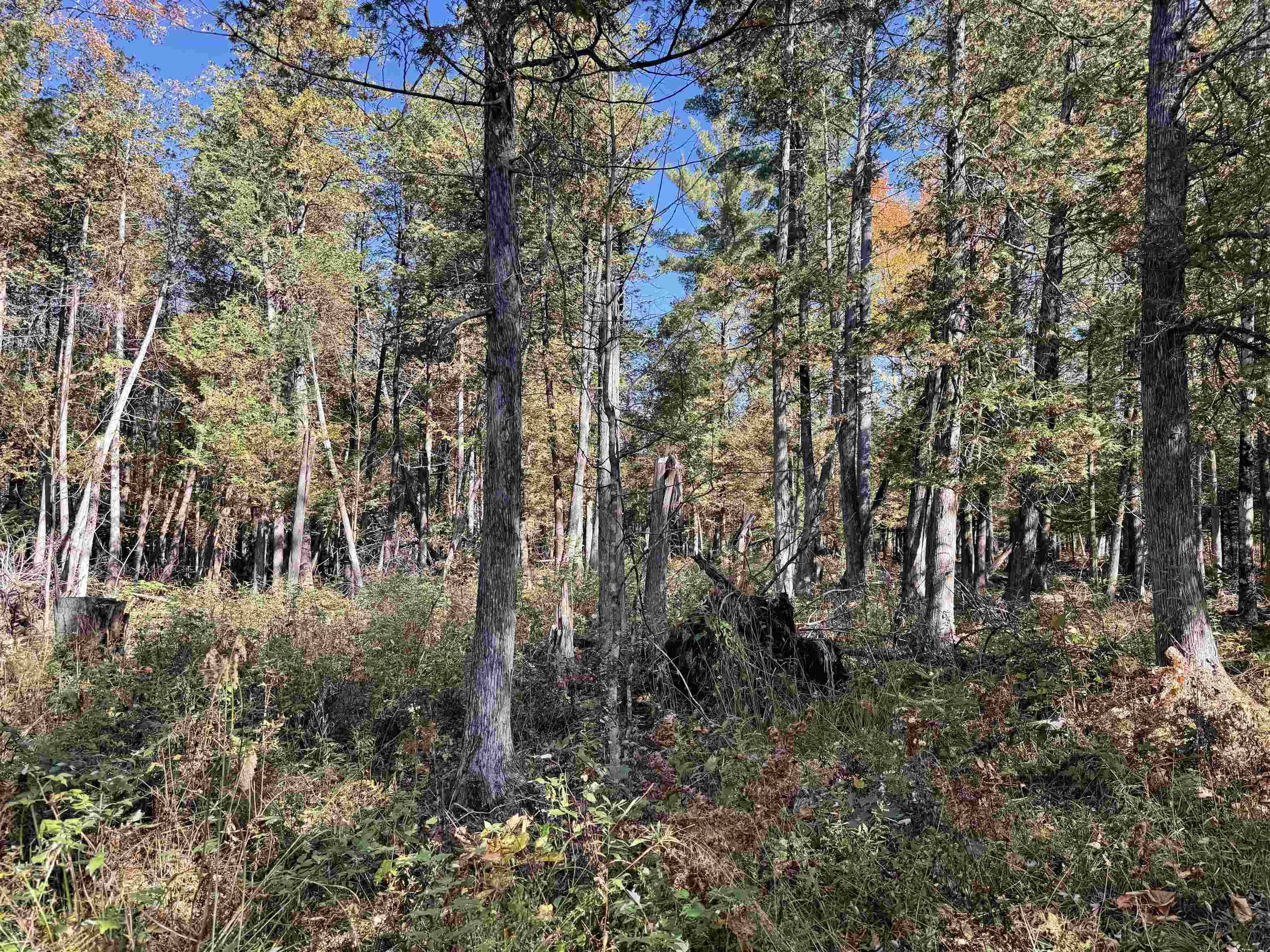 00 Behnke Road Property Photo 29
