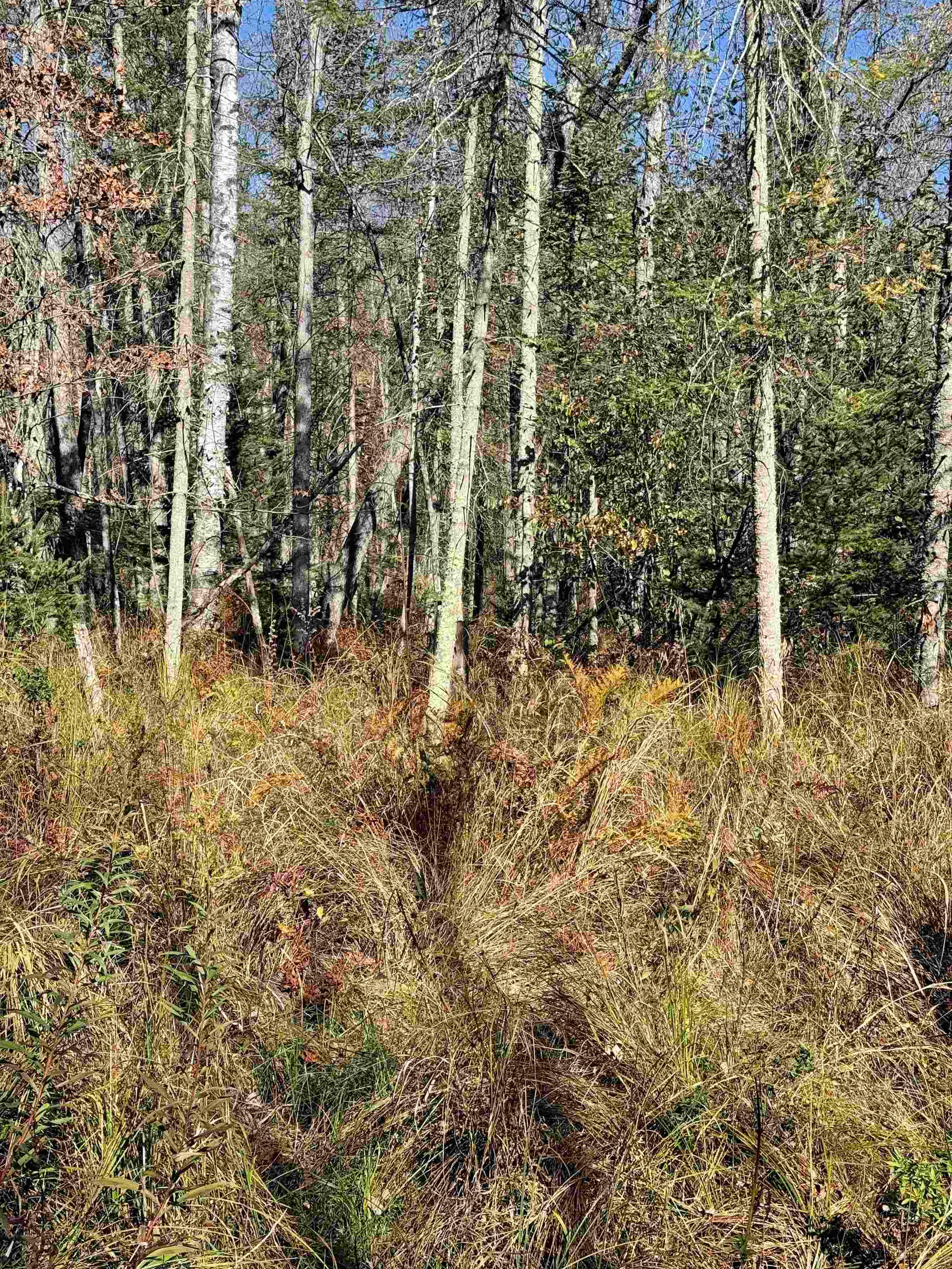 00 Behnke Road Property Photo 30