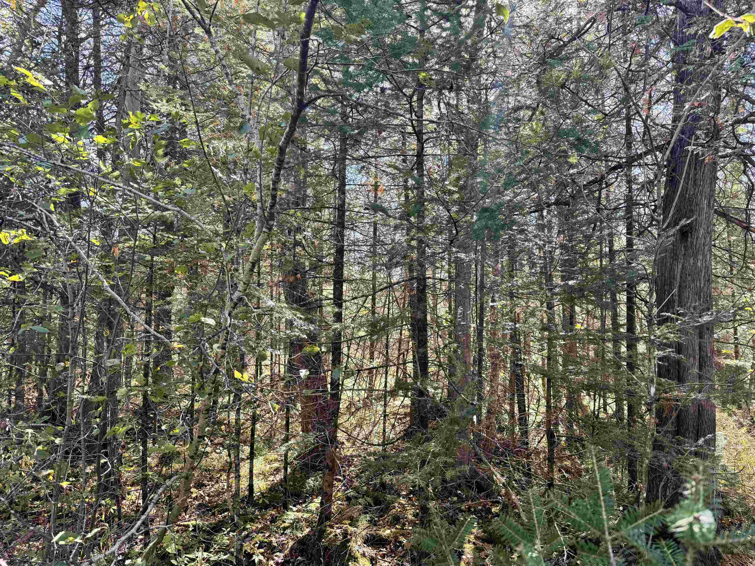 00 Behnke Road Property Photo 31