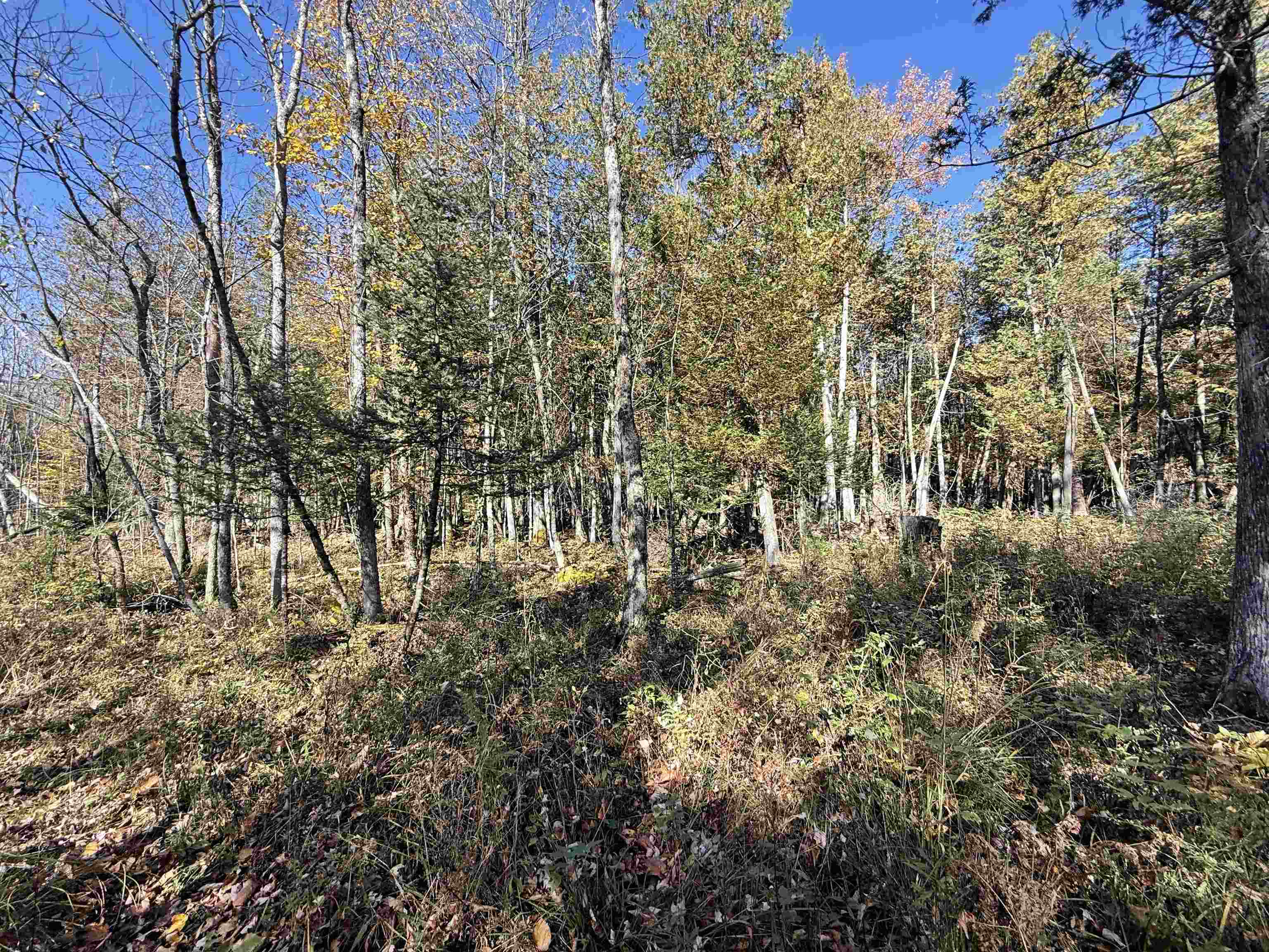00 Behnke Road Property Photo 32