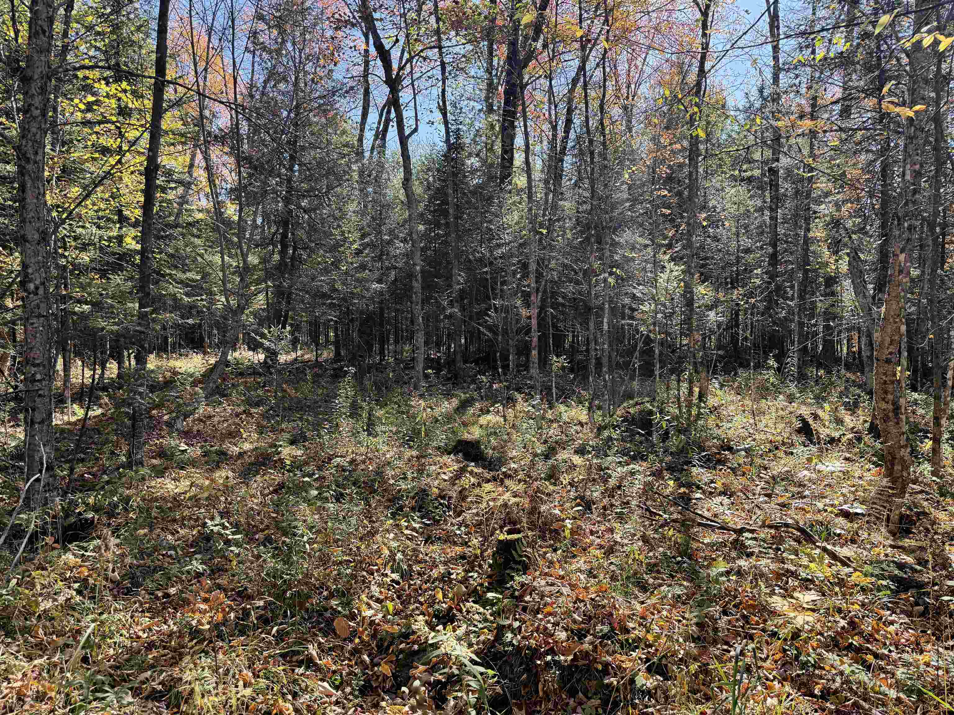 00 Behnke Road Property Photo 33