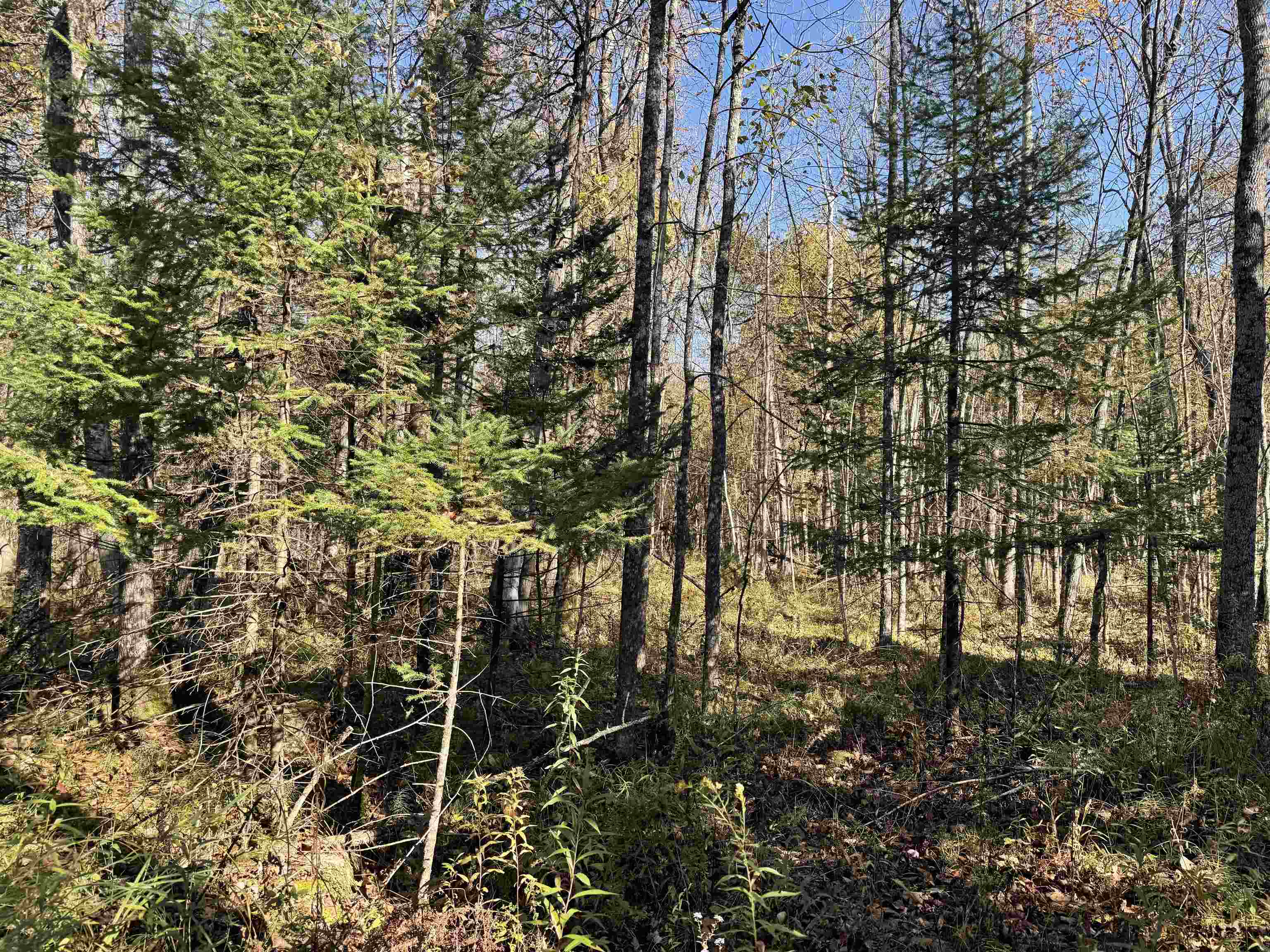 00 Behnke Road Property Photo 34