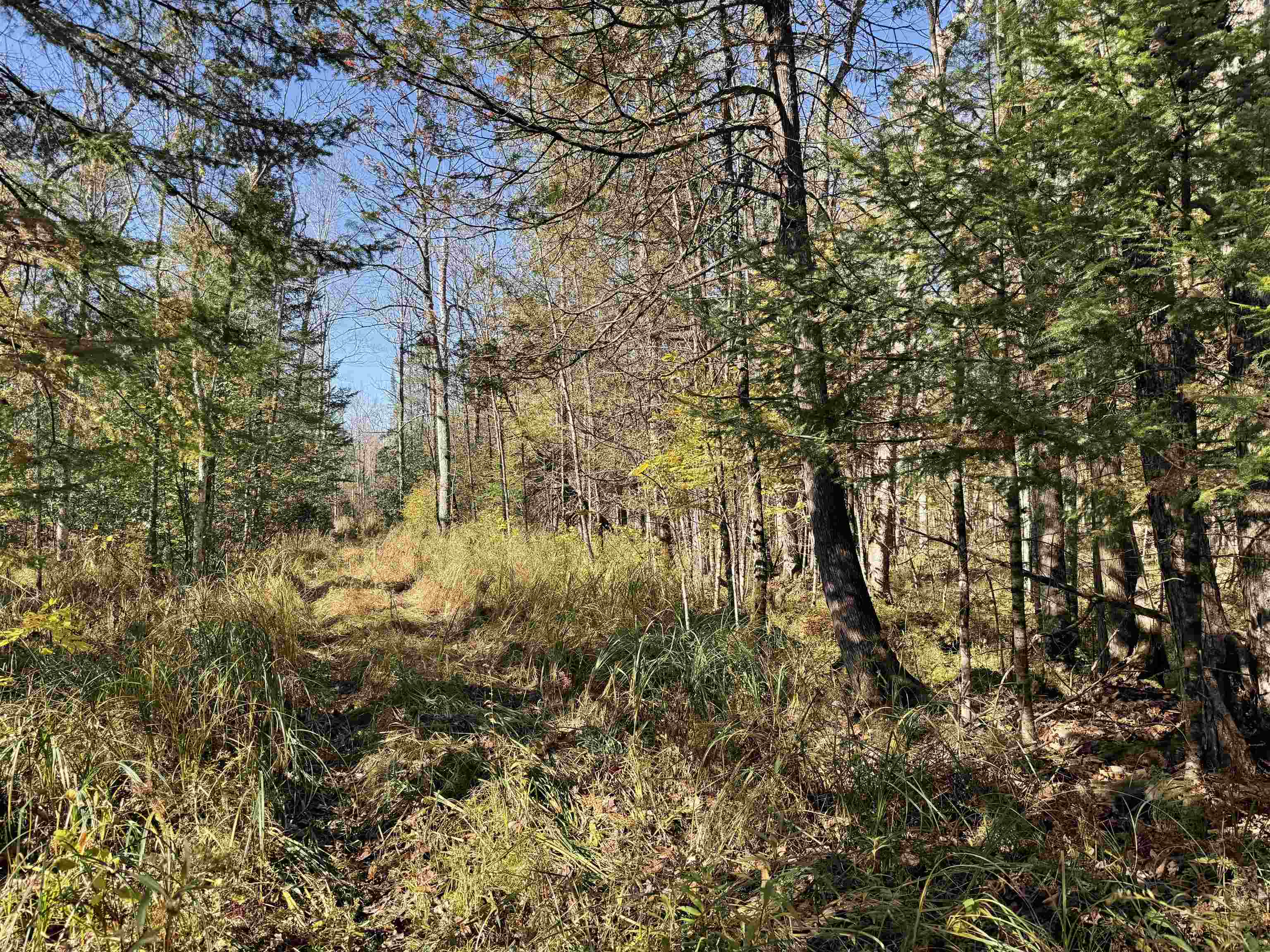 00 Behnke Road Property Photo 35
