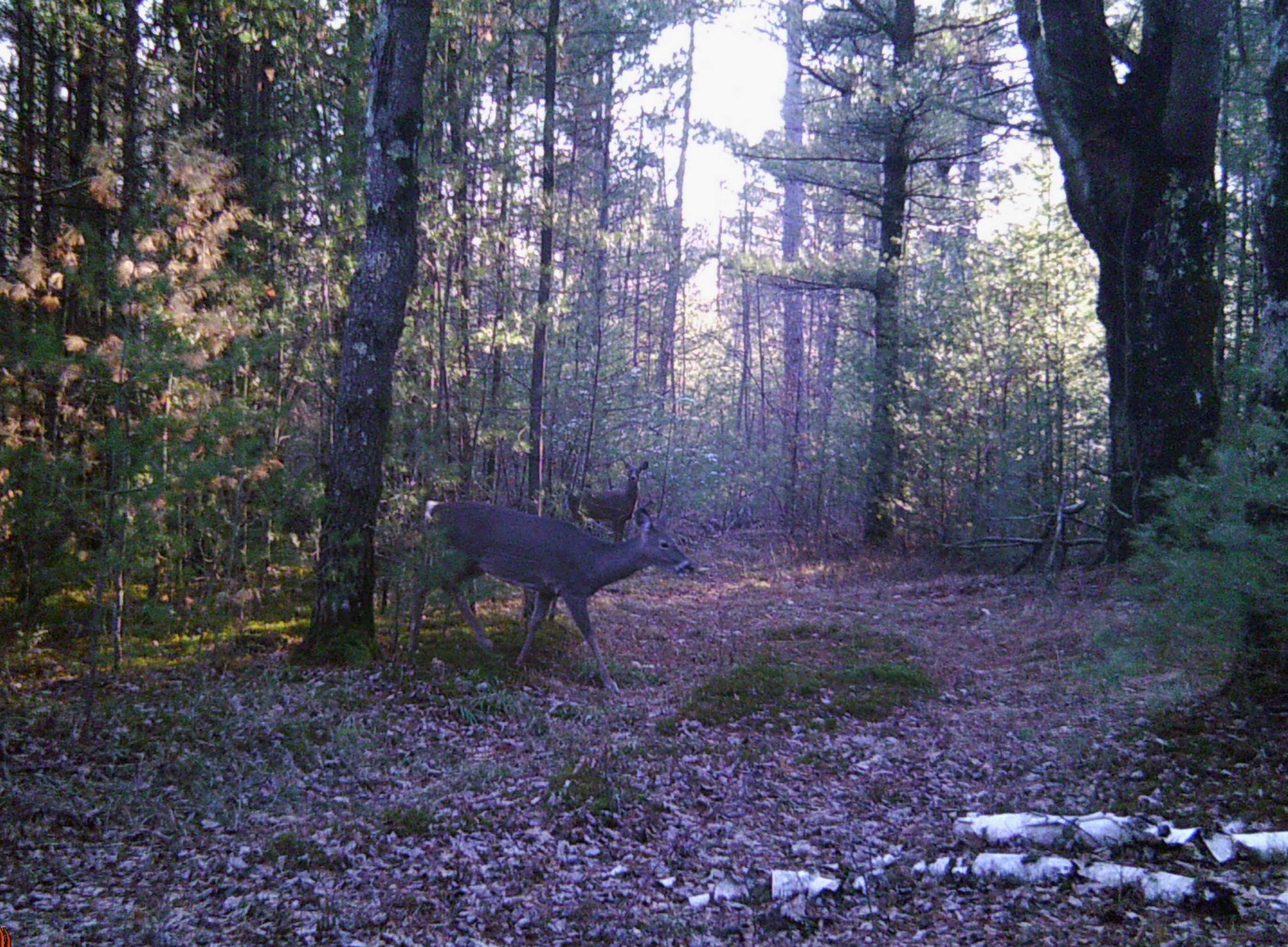 00 Behnke Road Property Photo 36