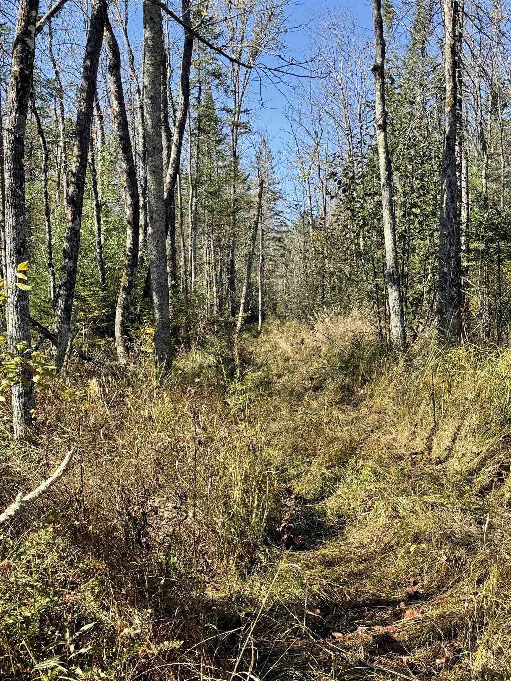 00 Behnke Road Property Photo 36