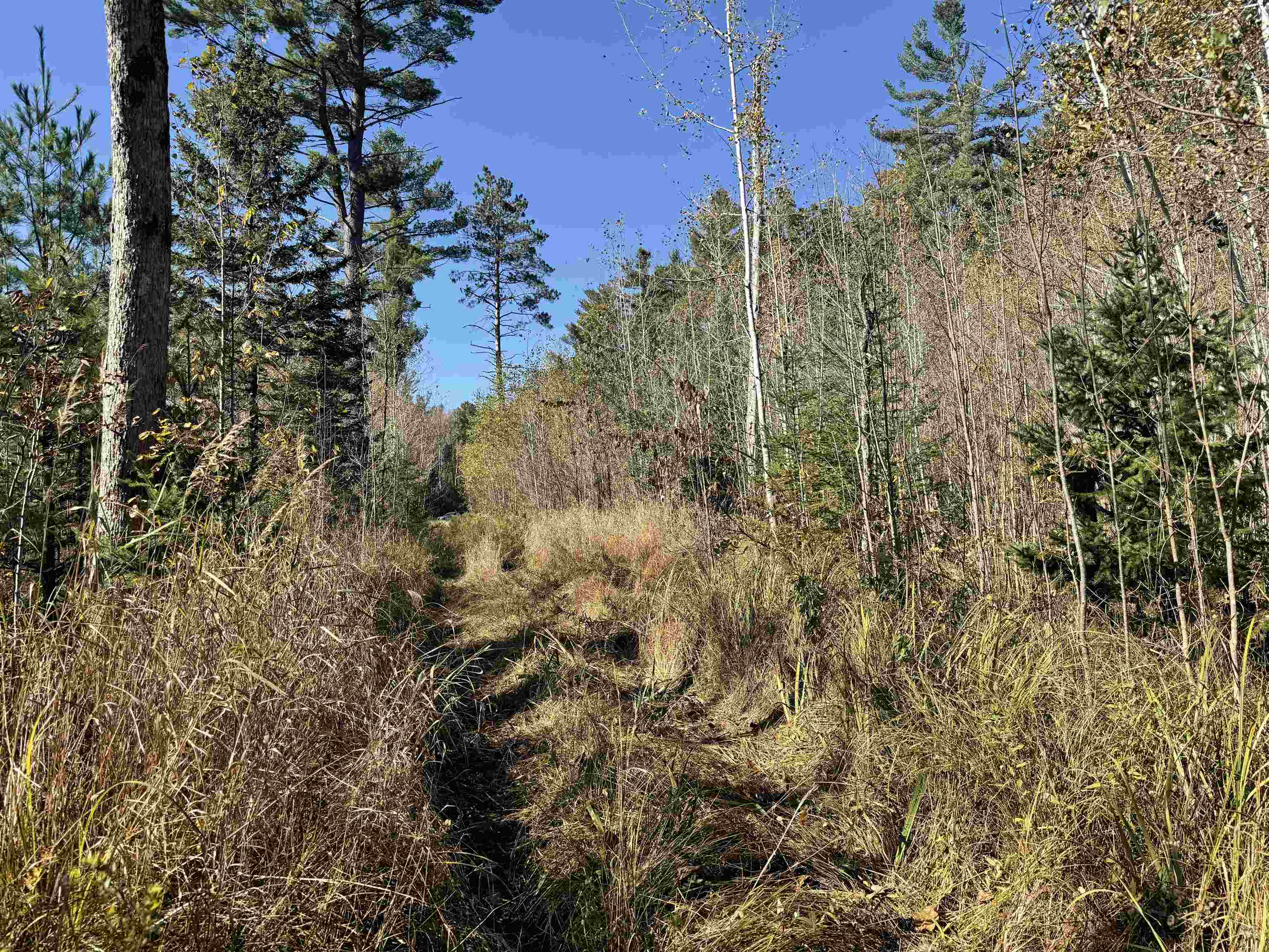 00 Behnke Road Property Photo 37