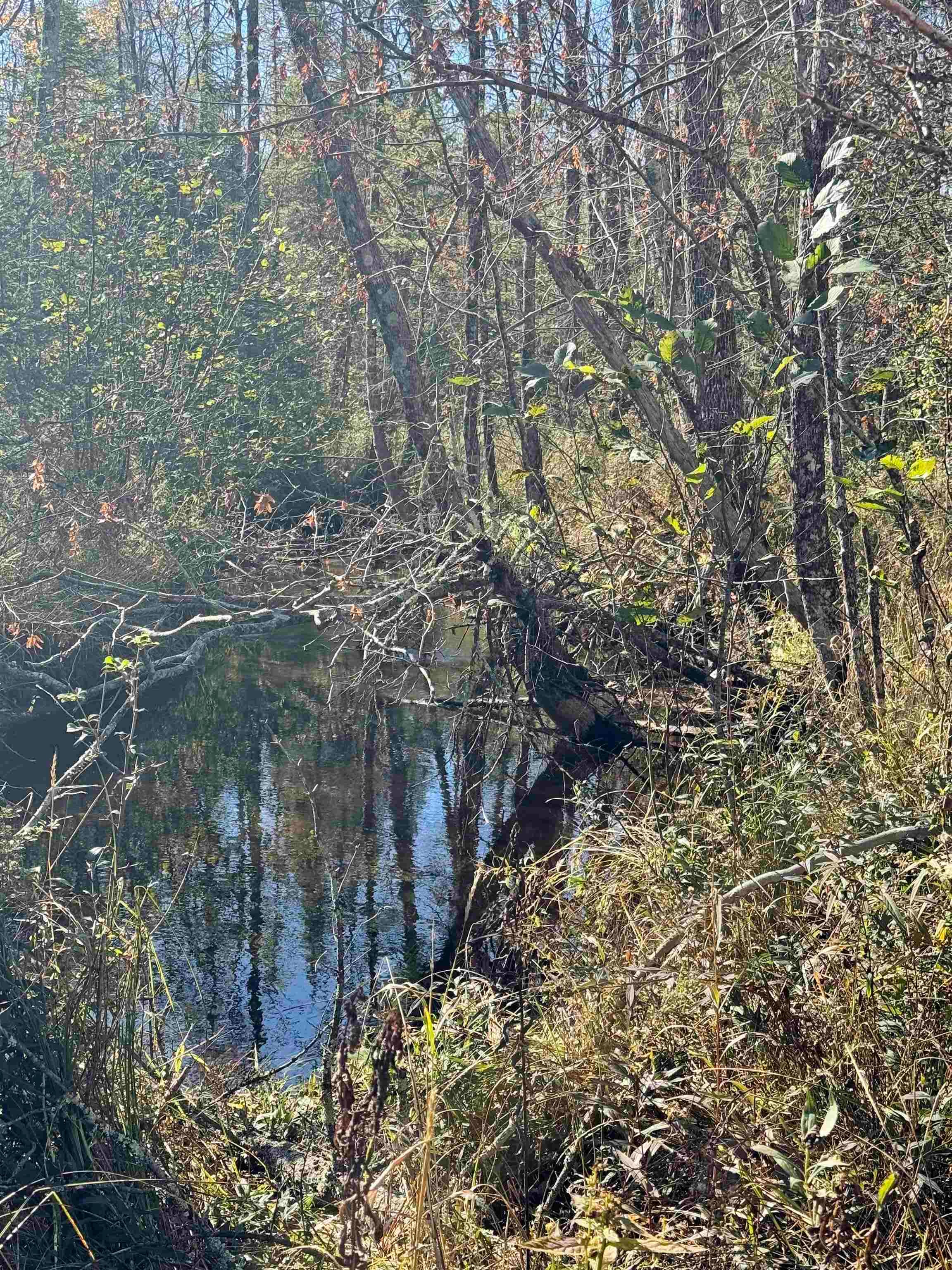 00 Behnke Road Property Photo 38