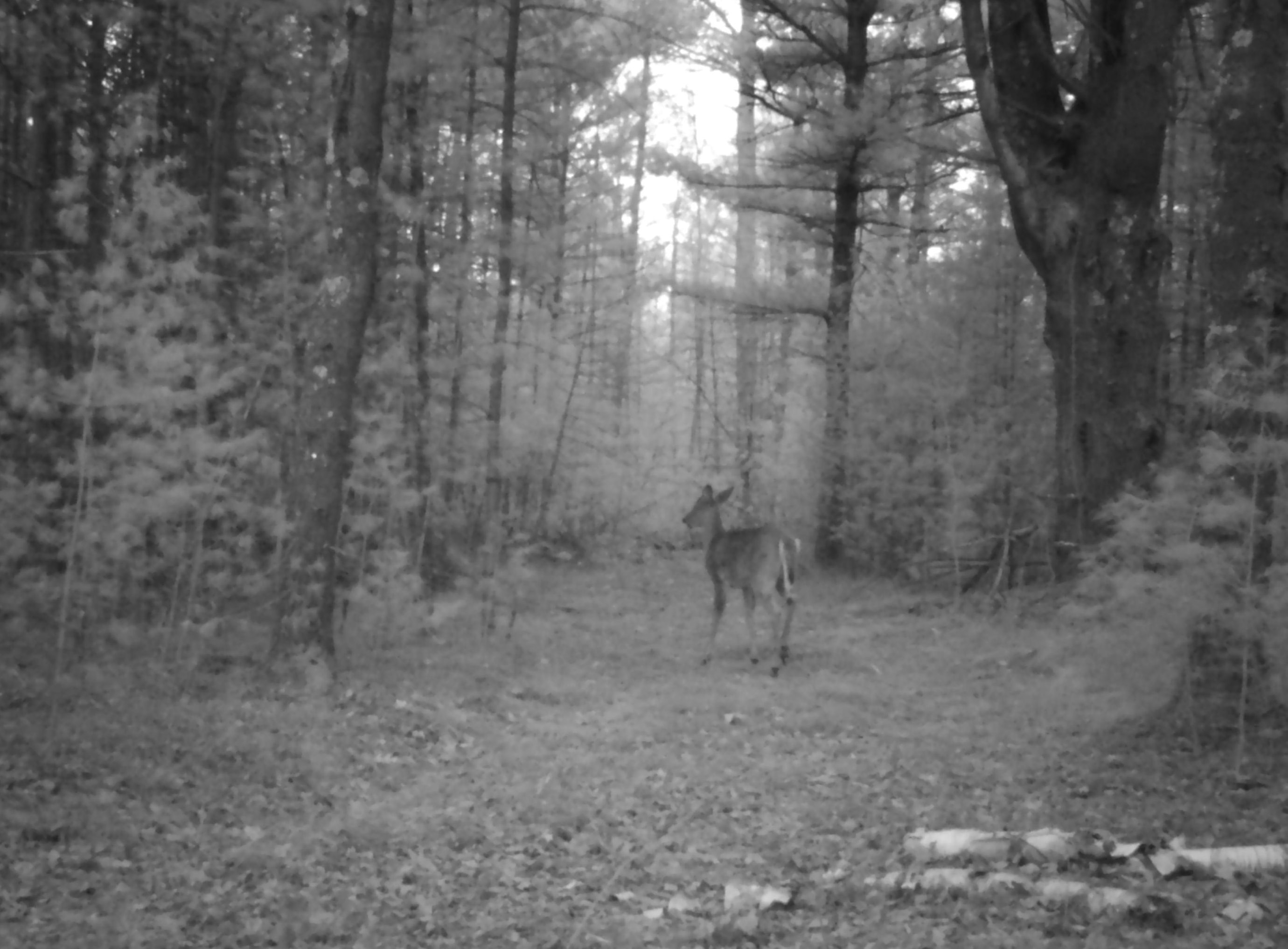 00 Behnke Road Property Photo 39