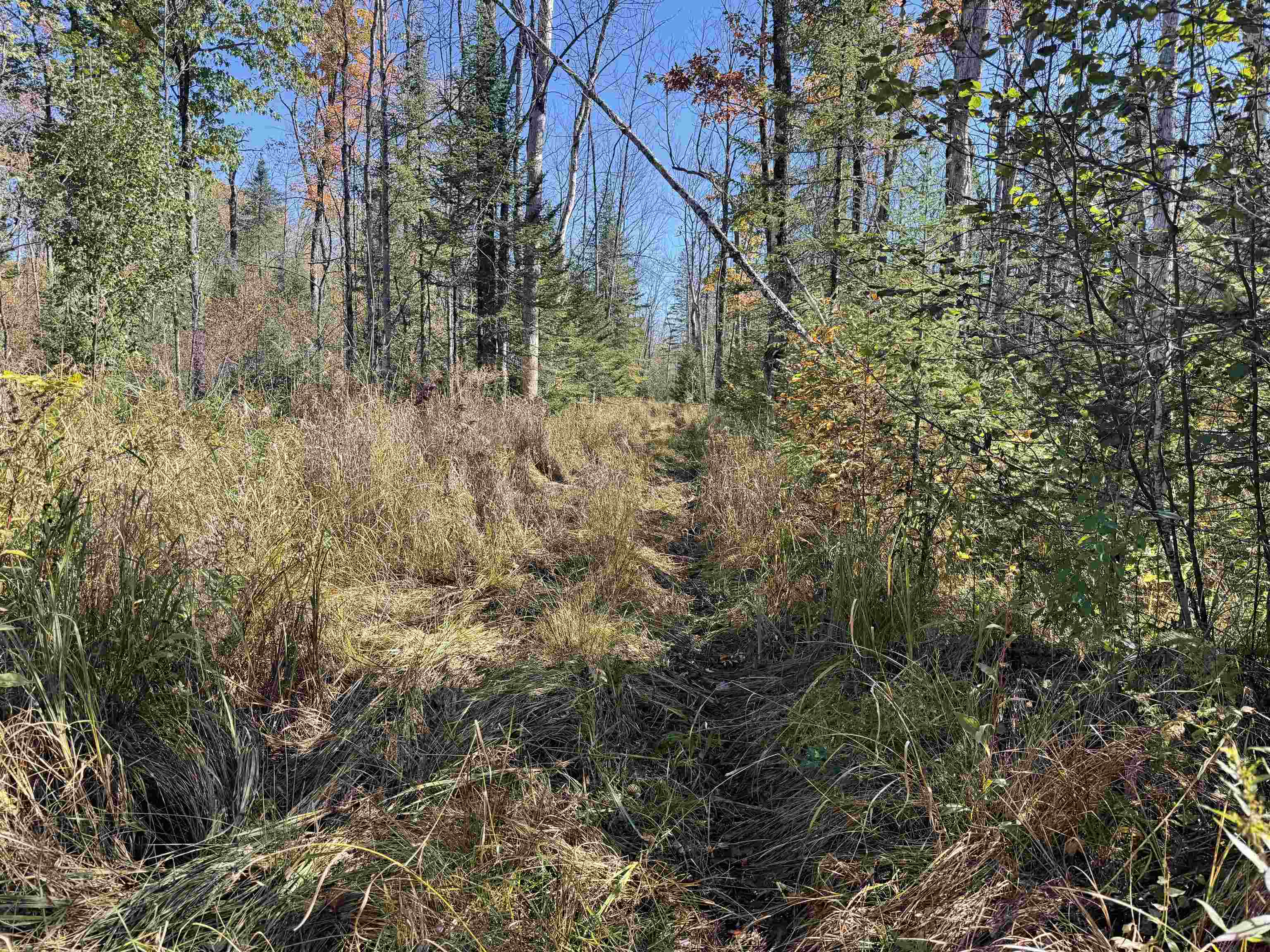 00 Behnke Road Property Photo 39
