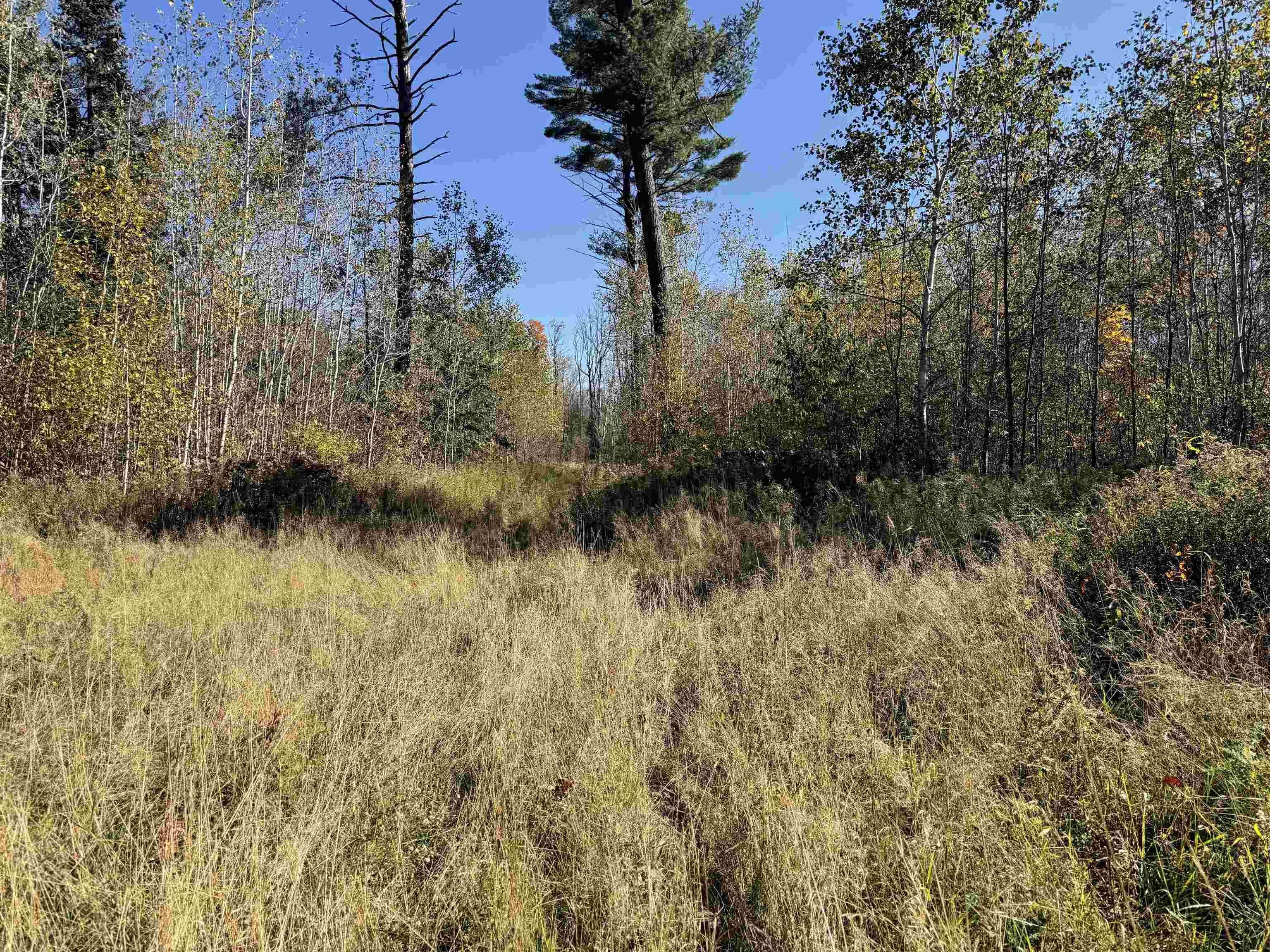 00 Behnke Road Property Photo 40