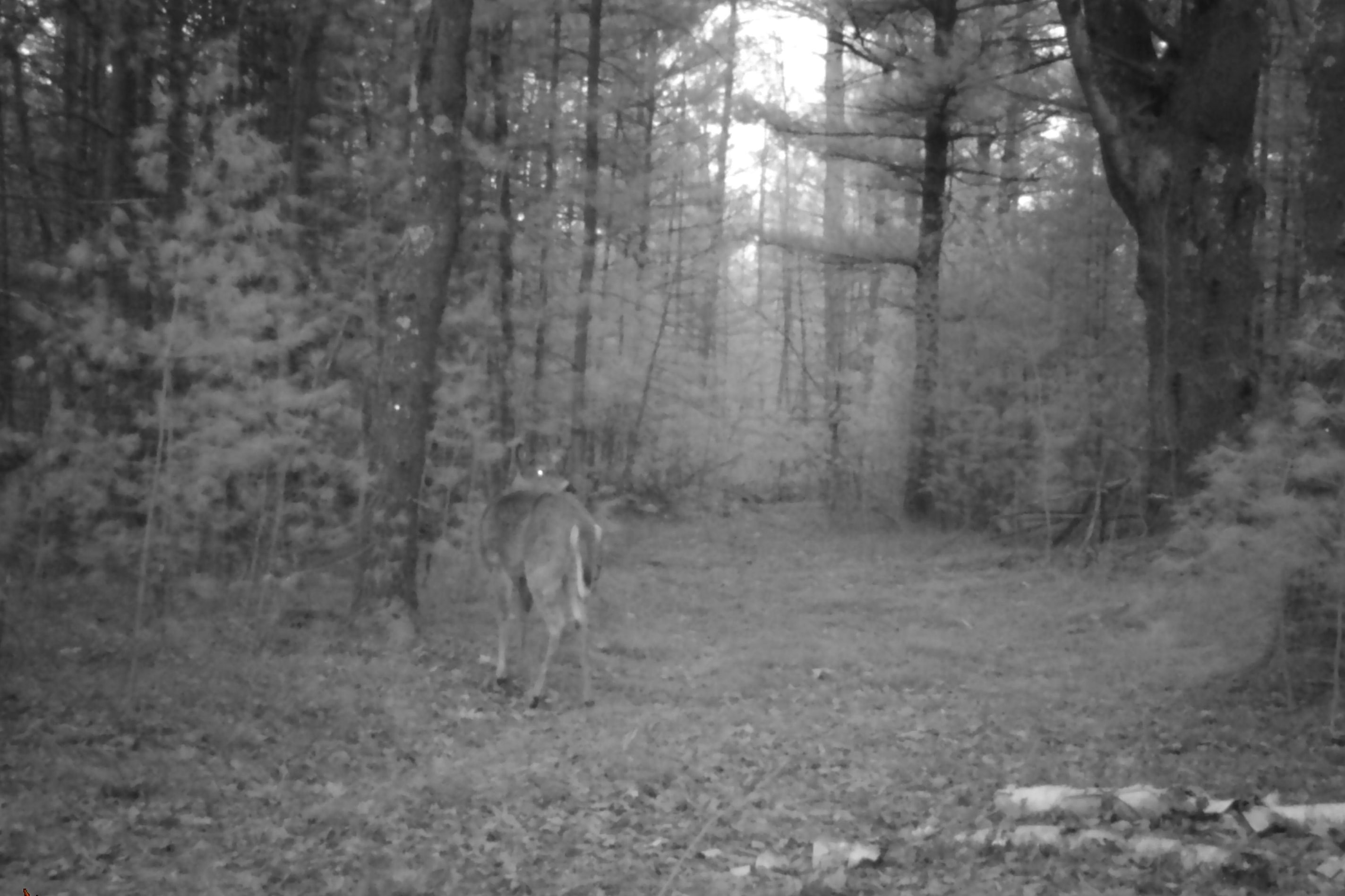 00 Behnke Road Property Photo 41