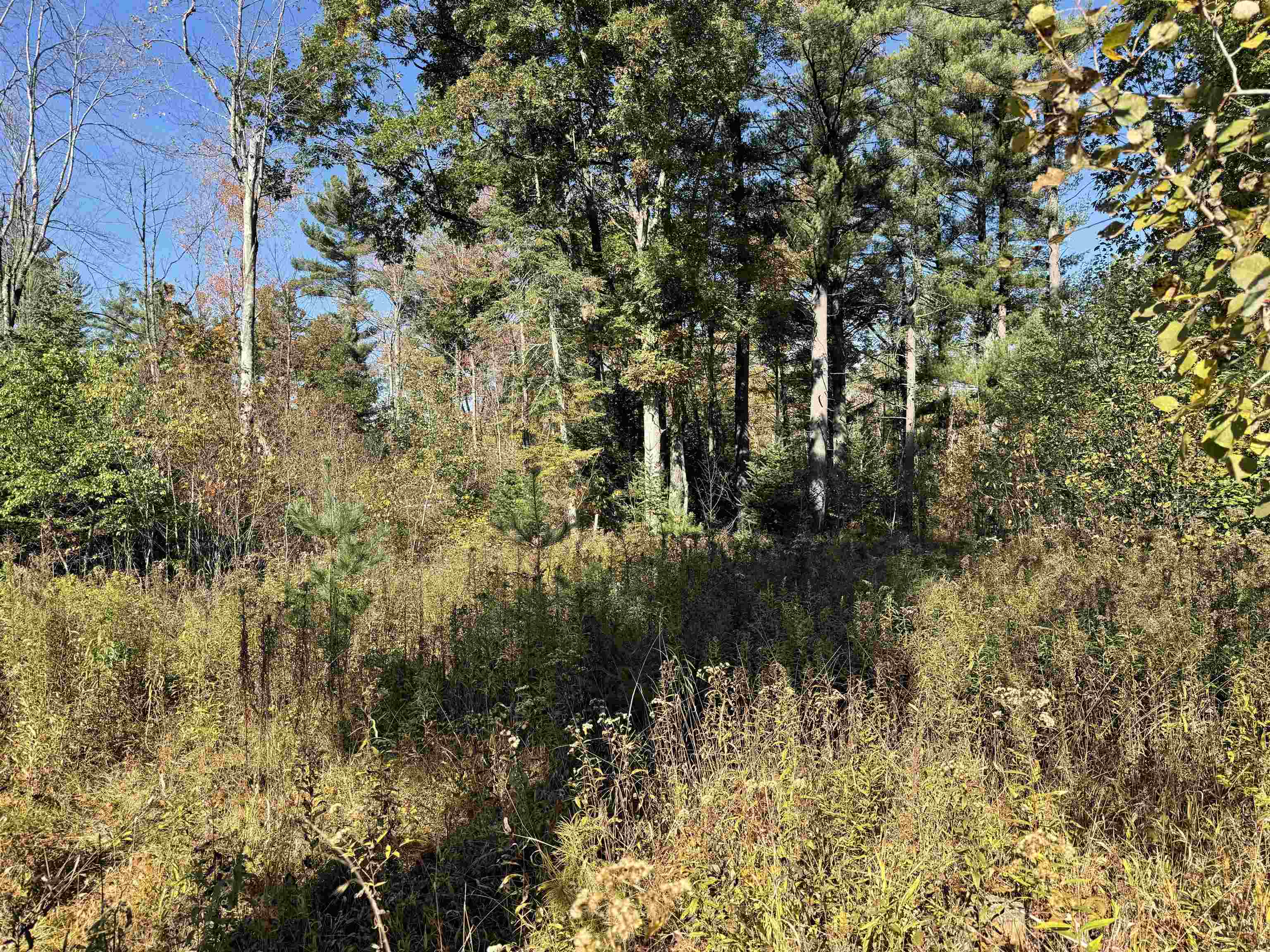 00 Behnke Road Property Photo 51