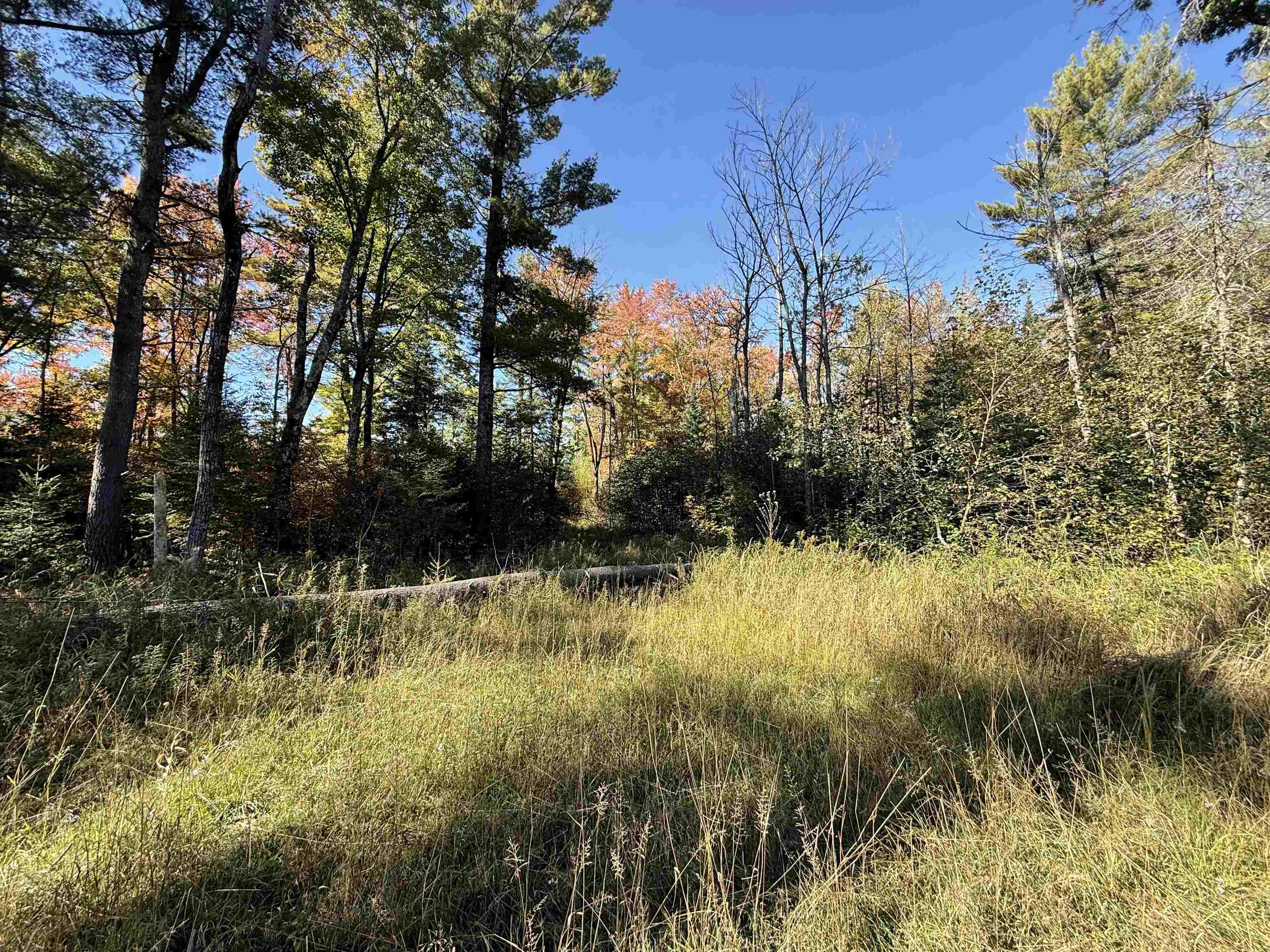00 Behnke Road Property Photo 55