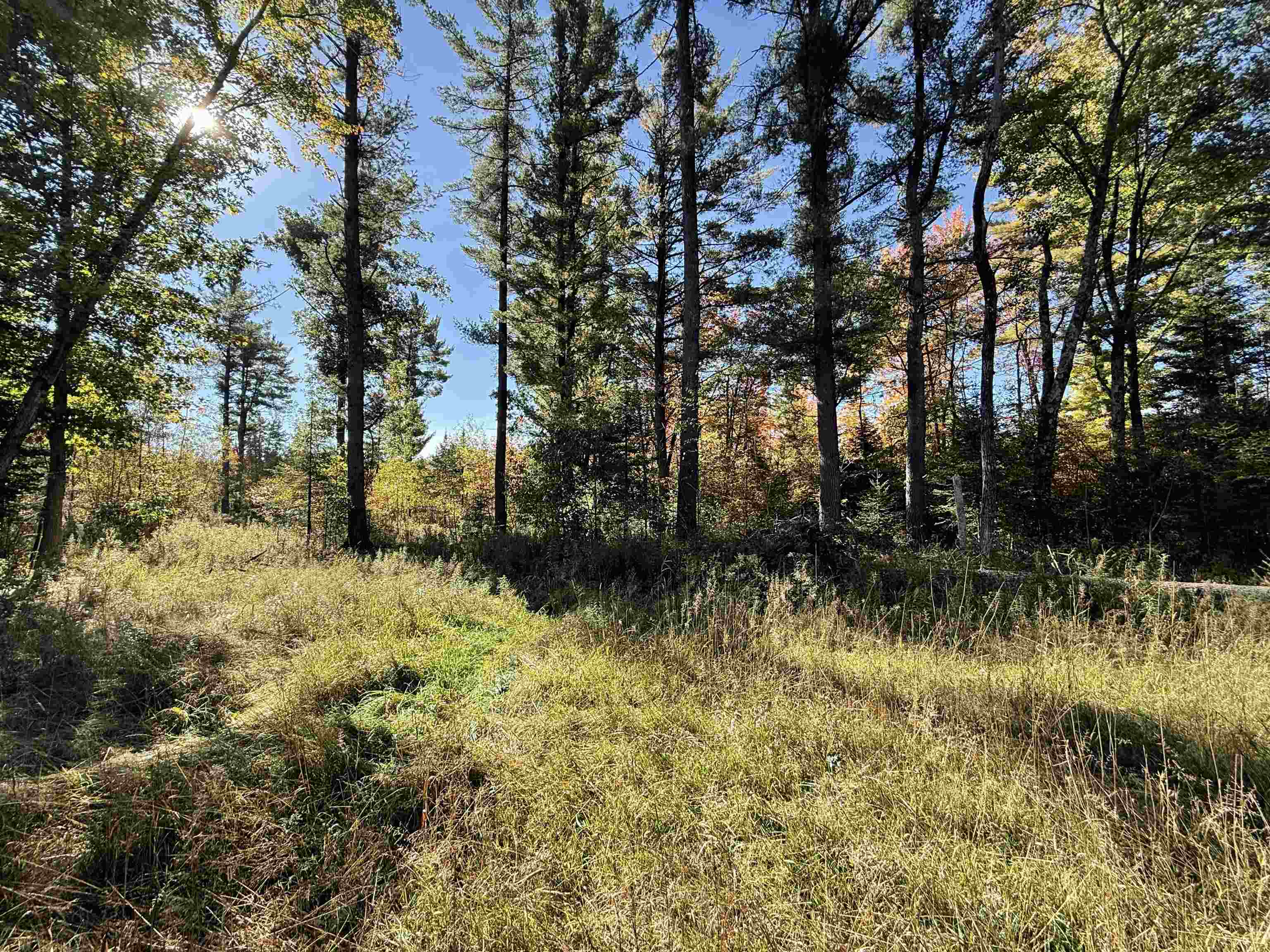 00 Behnke Road Property Photo 56