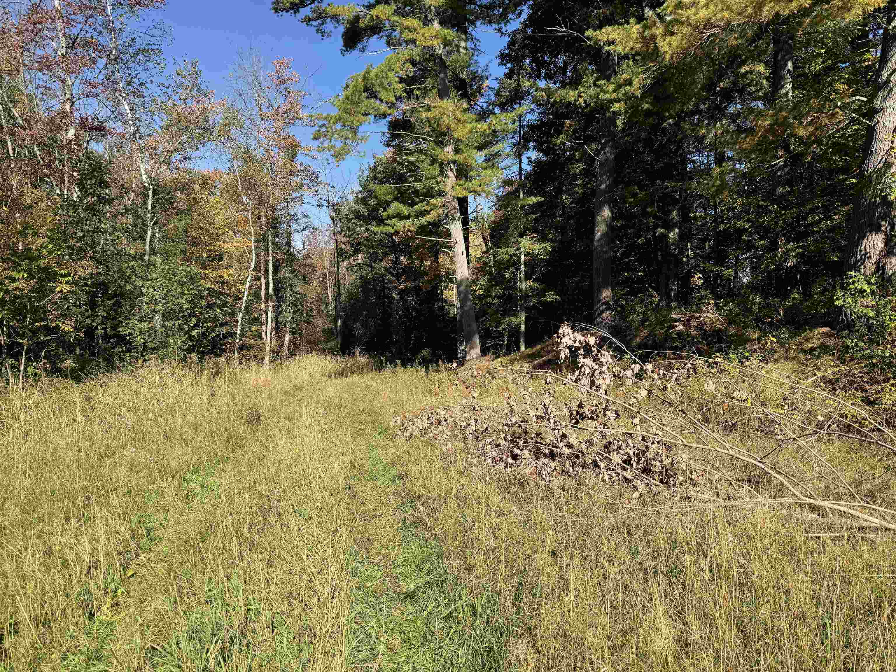 00 Behnke Road Property Photo 59
