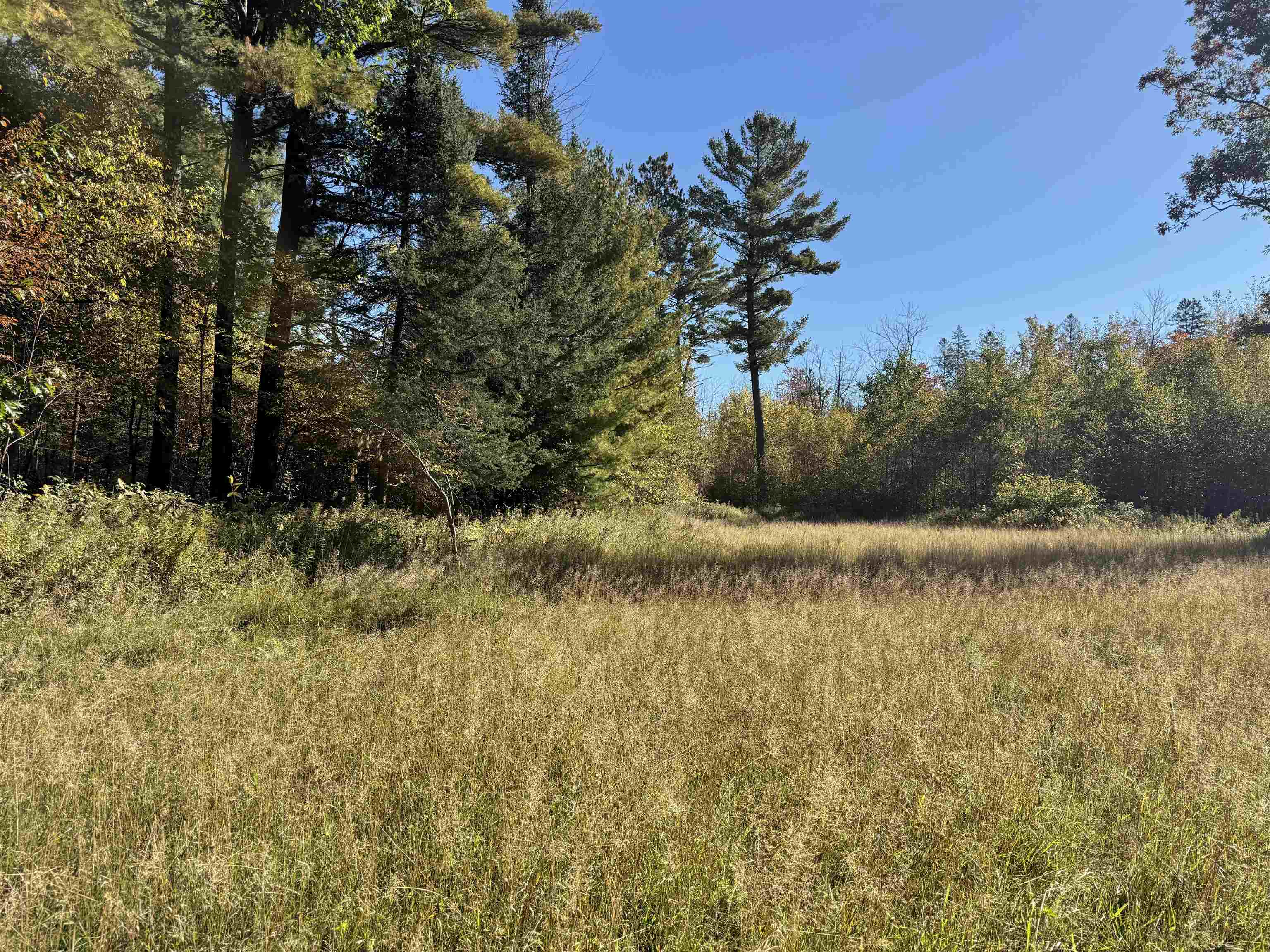 00 Behnke Road Property Photo 60