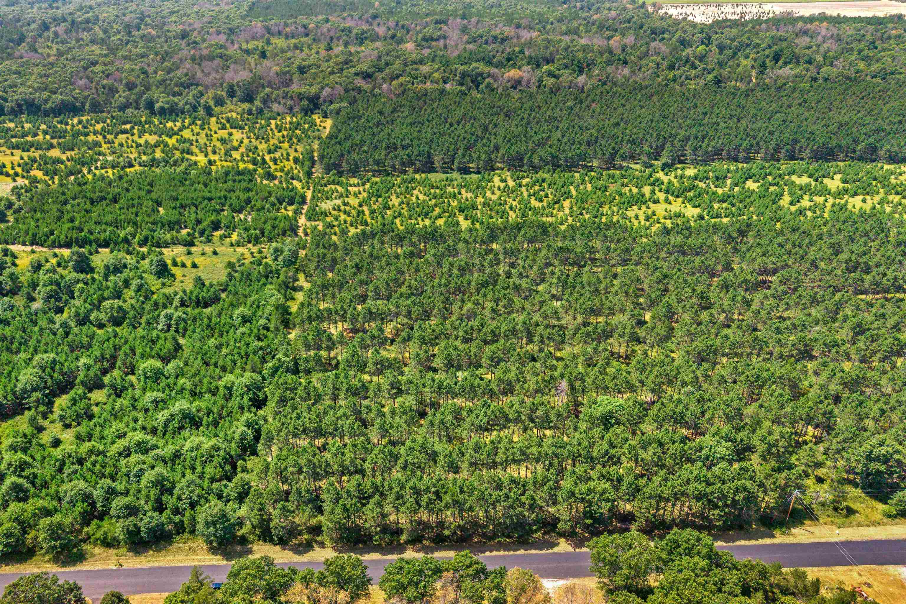 Lot 4, 10 Acres Bell Road Property Photo 4