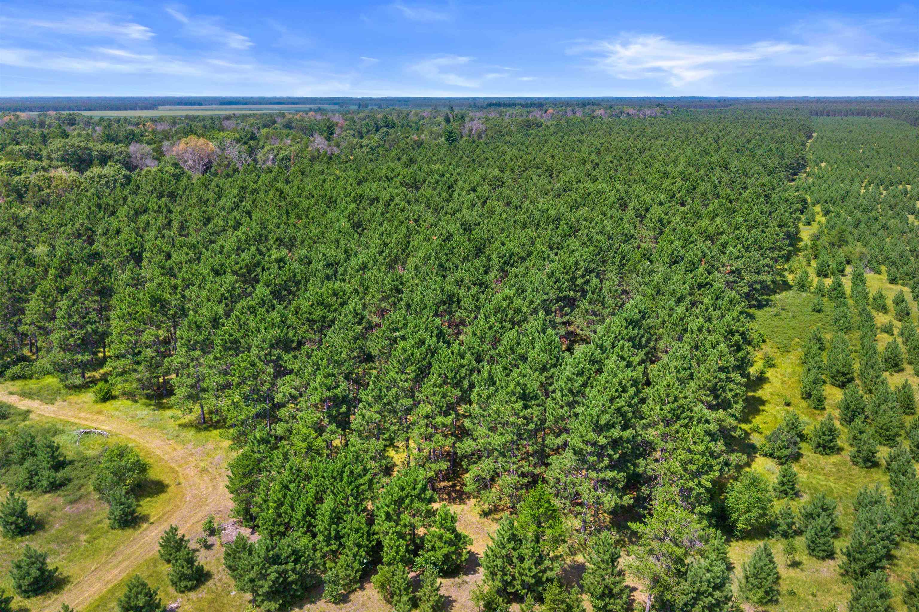 Lot 4, 10 Acres Bell Road Property Photo 6