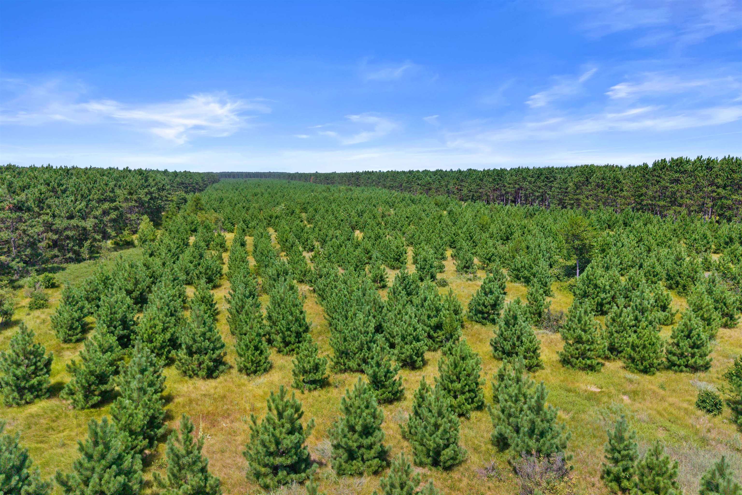 Lot 4, 10 Acres Bell Road Property Photo 7