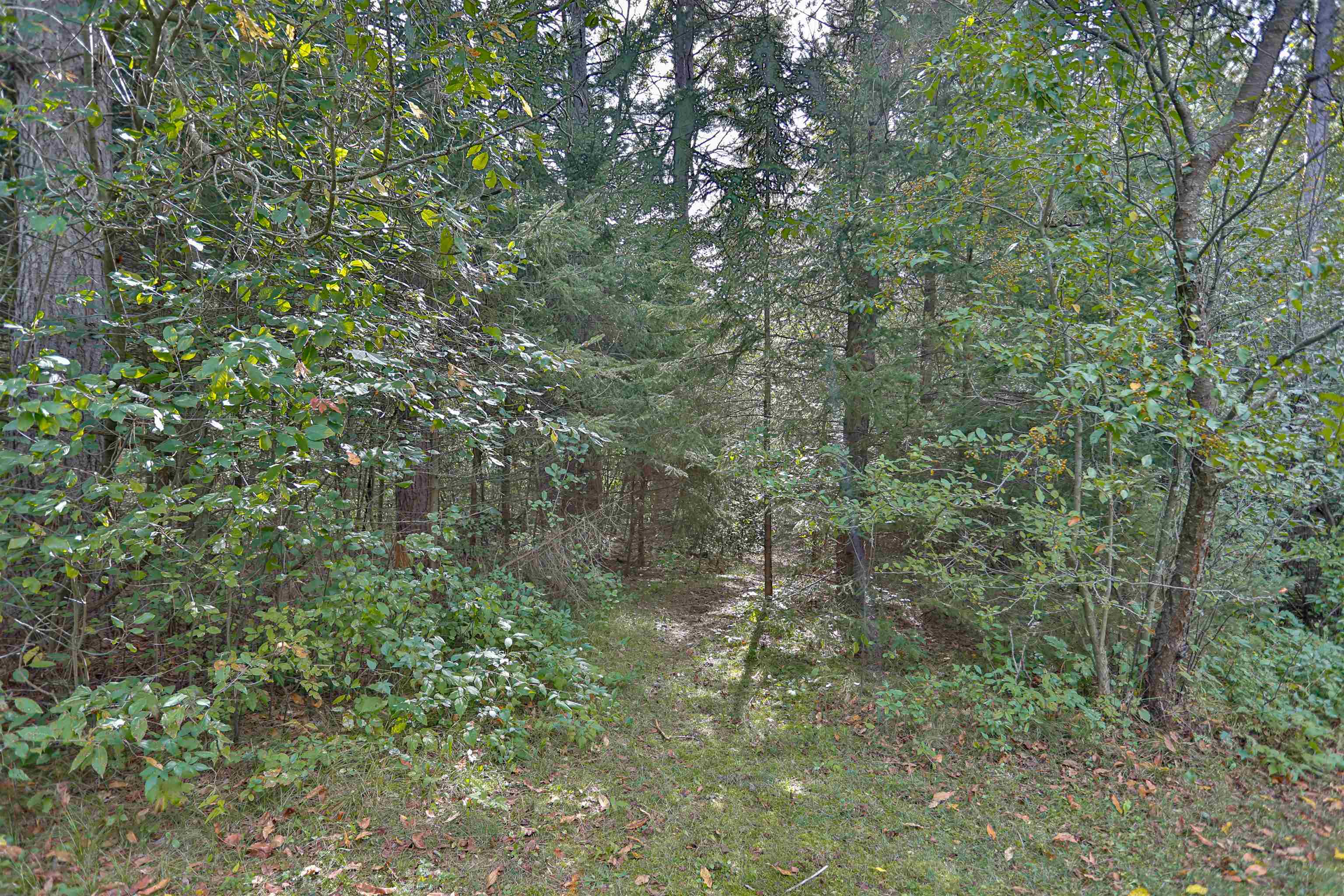 2200 Creek Road Property Photo 39