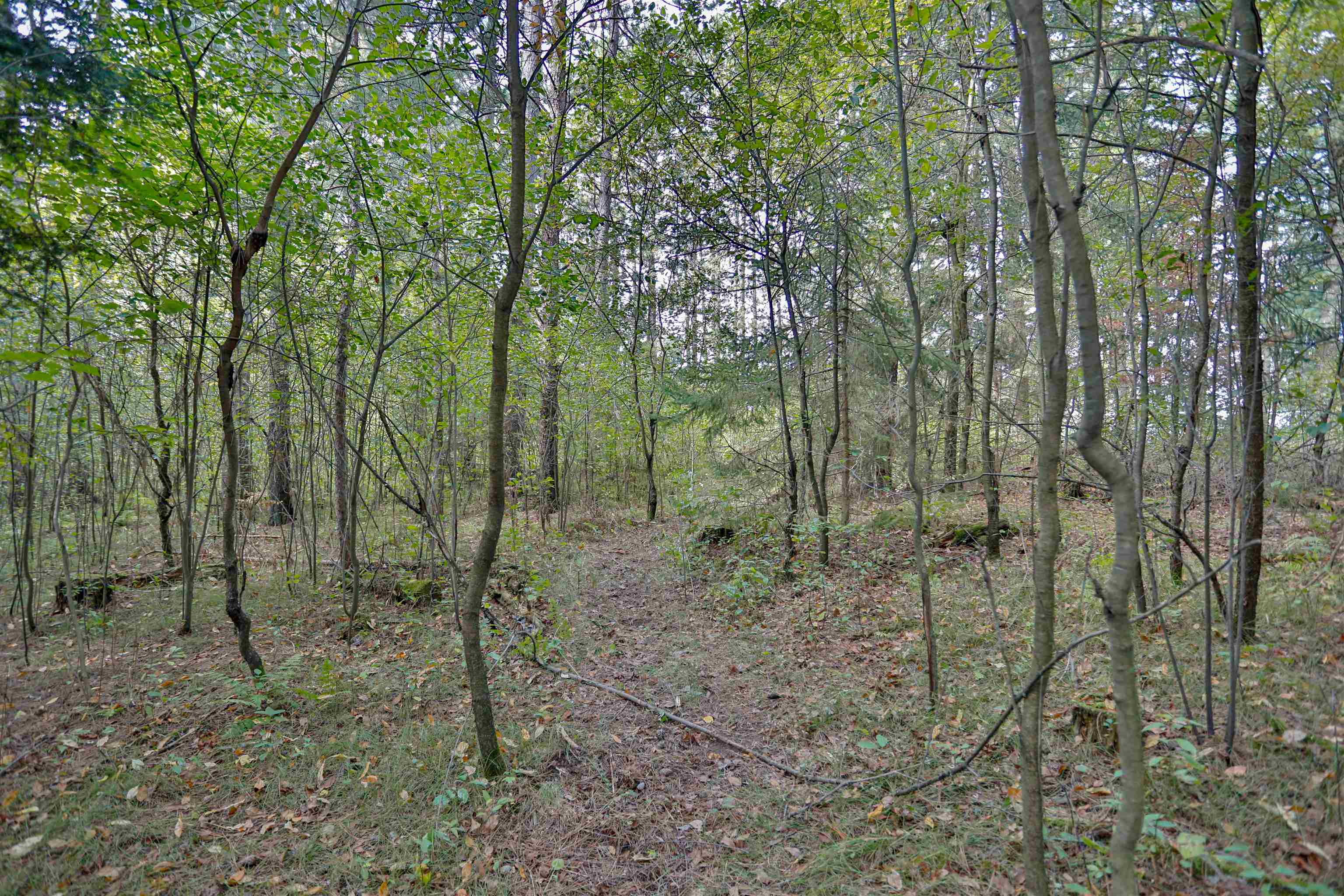 2200 Creek Road Property Photo 40