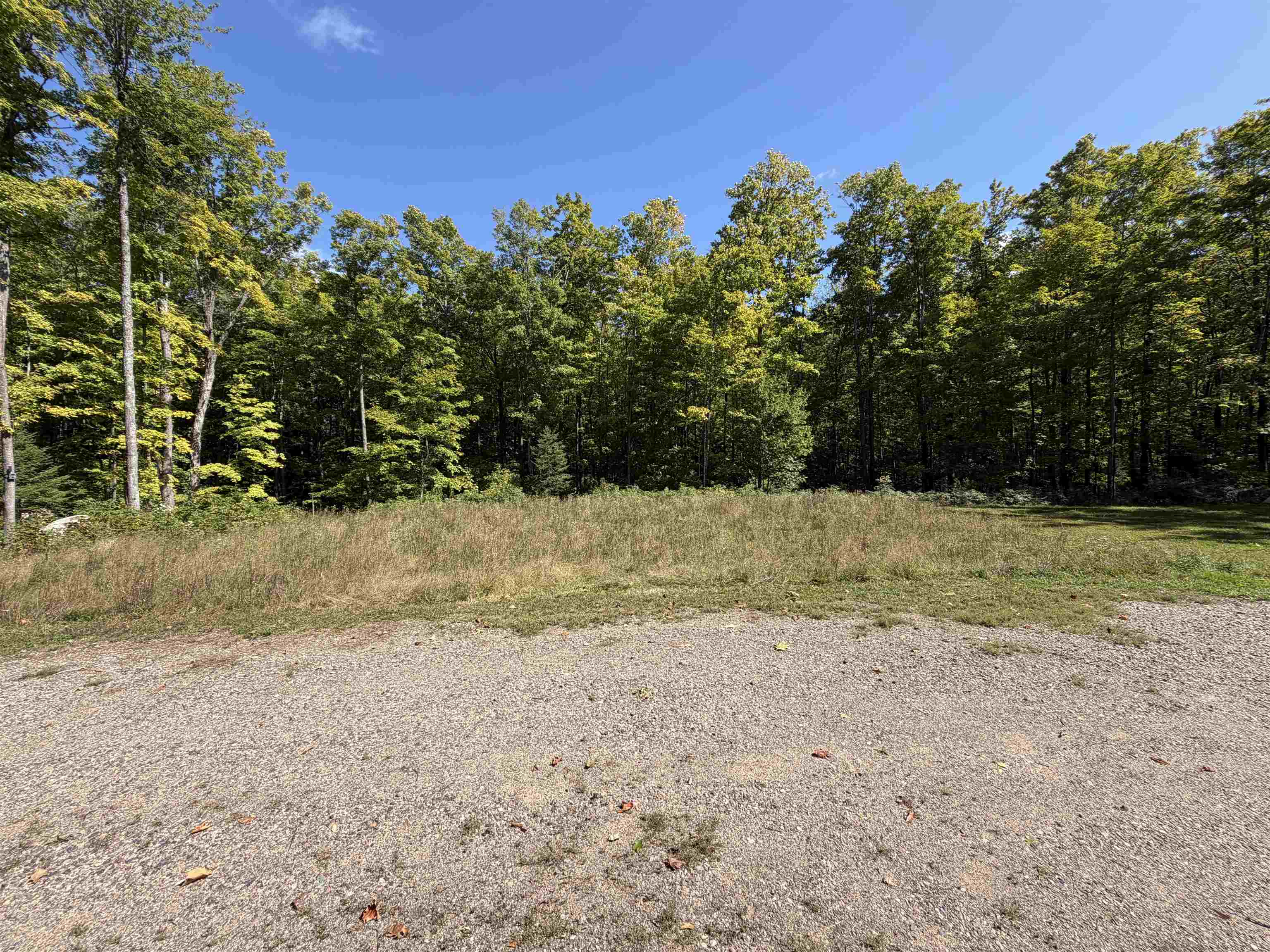 1018 Lily Lake Road Property Photo 3