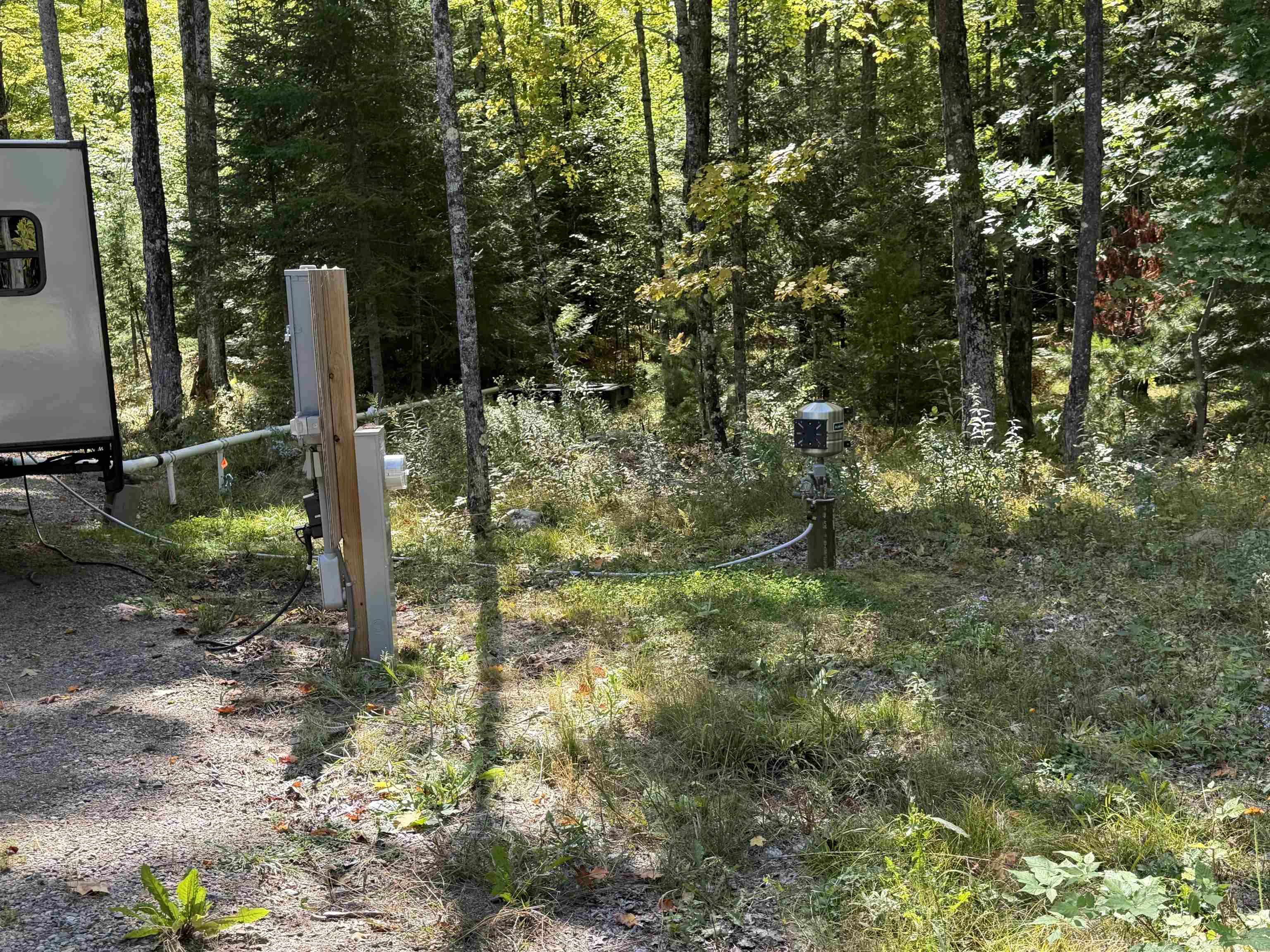 1018 Lily Lake Road Property Photo 4