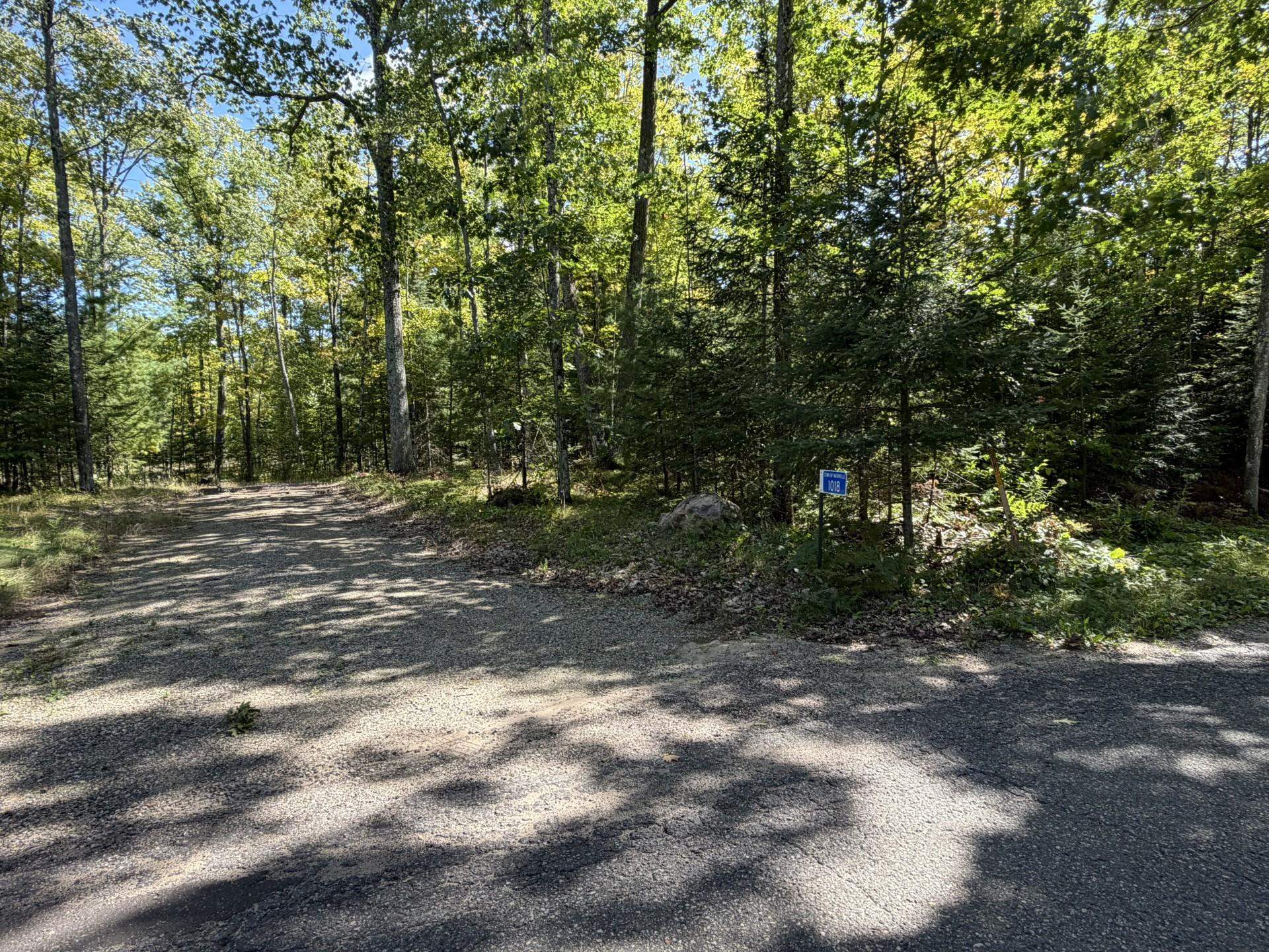 1018 Lily Lake Road Property Photo 8