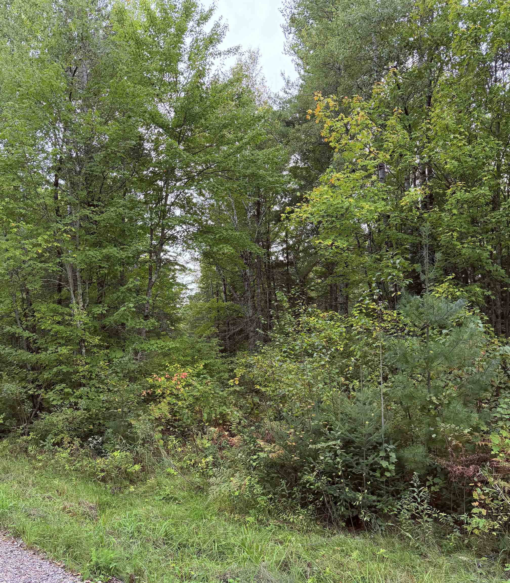 Up River Road Property Photo 2