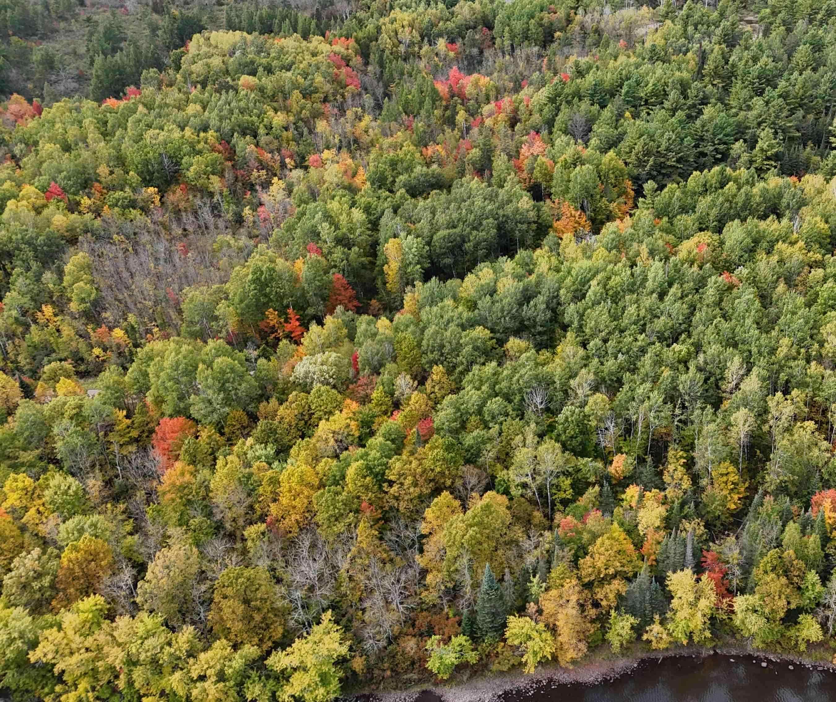 Up River Road Property Photo 3