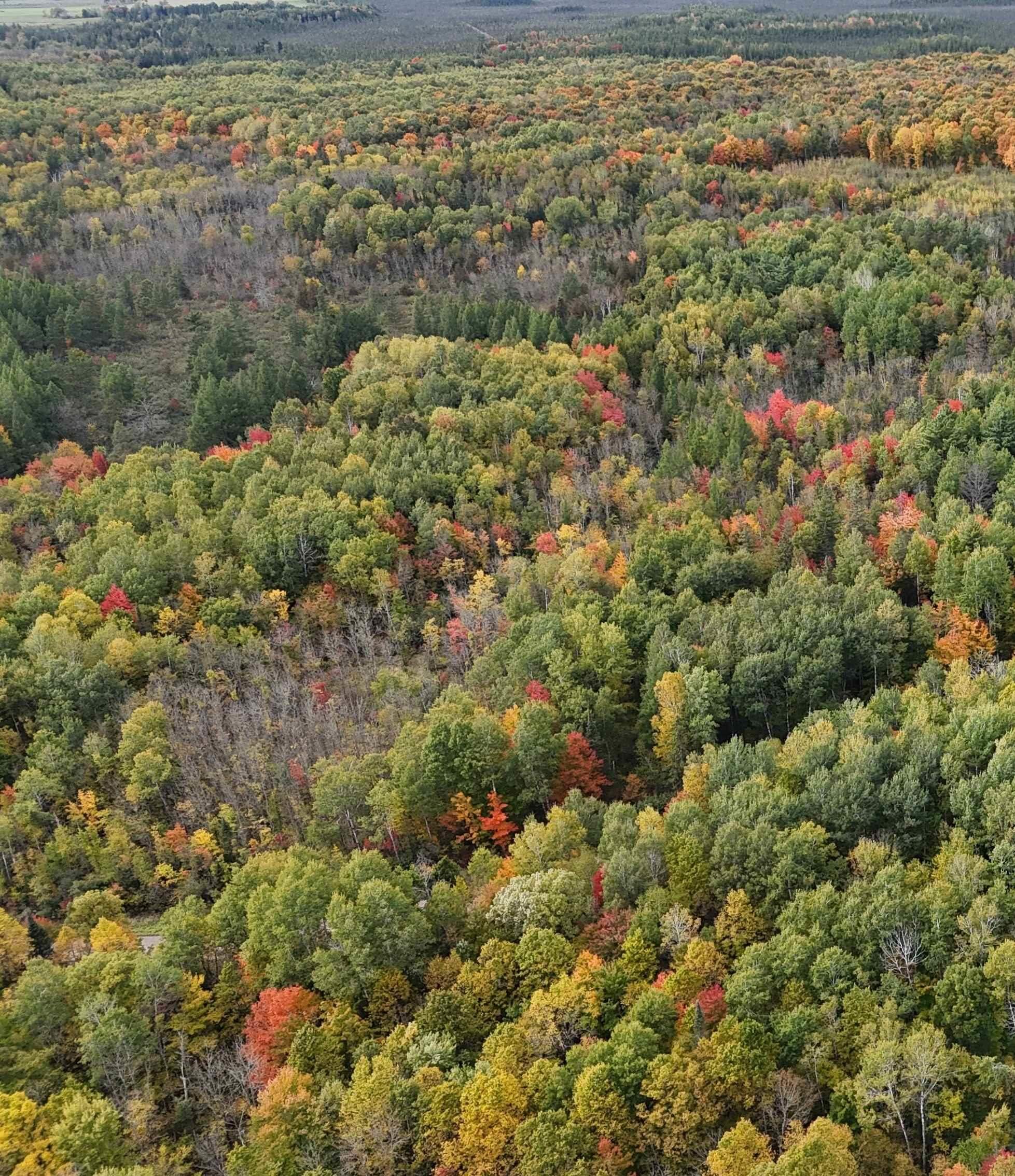 Up River Road Property Photo 4