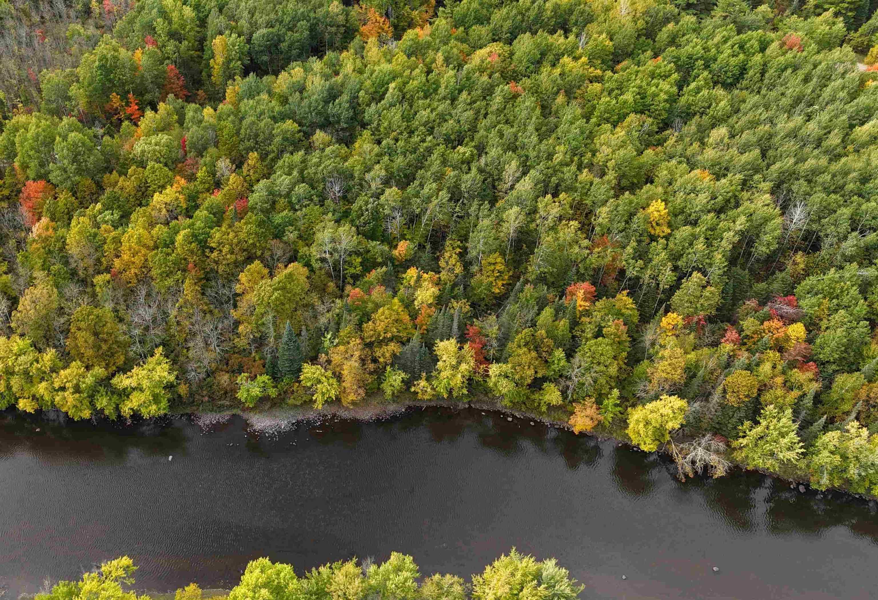Up River Road Property Photo 5