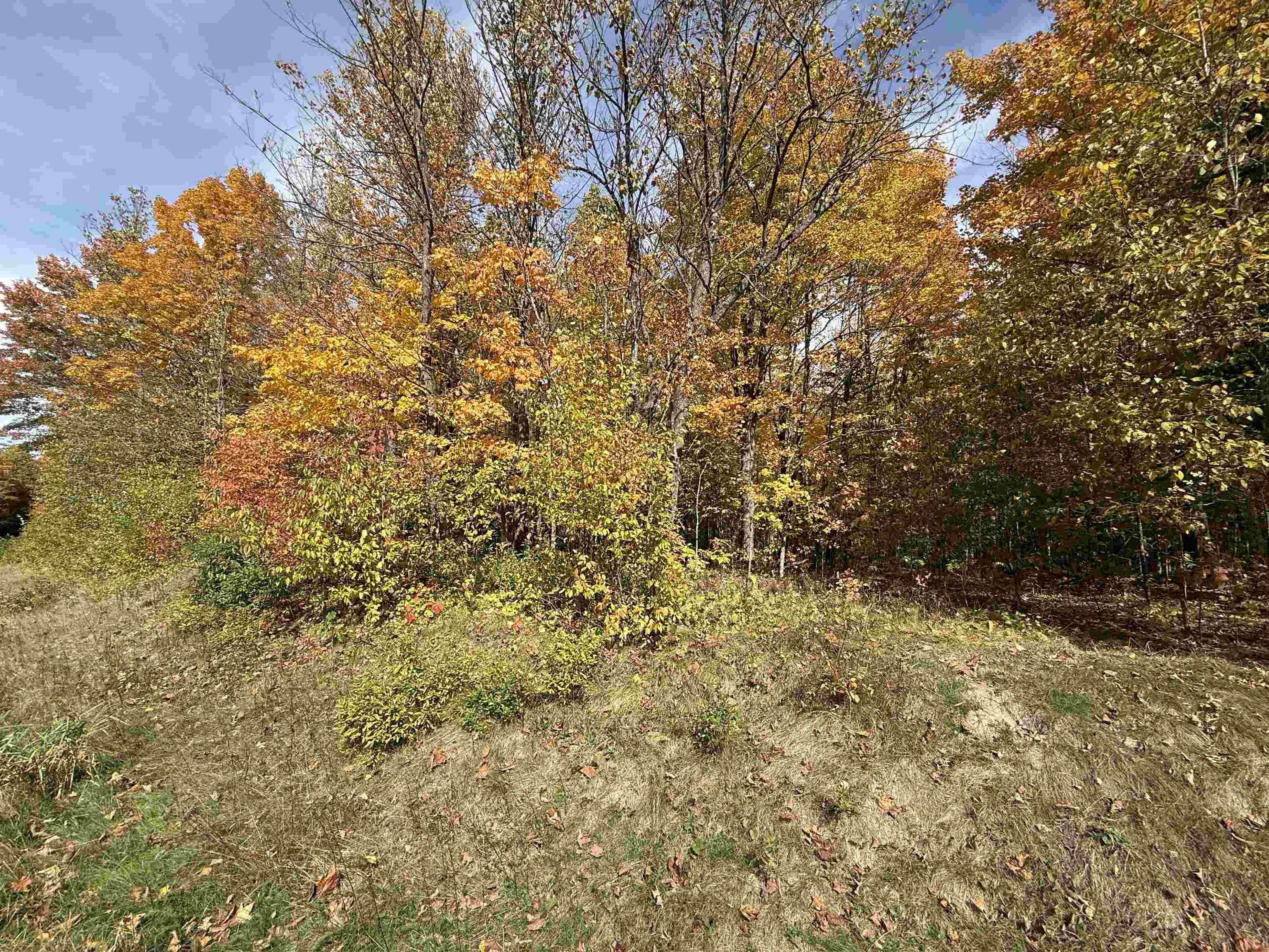 W11779 County Road W Property Photo 8